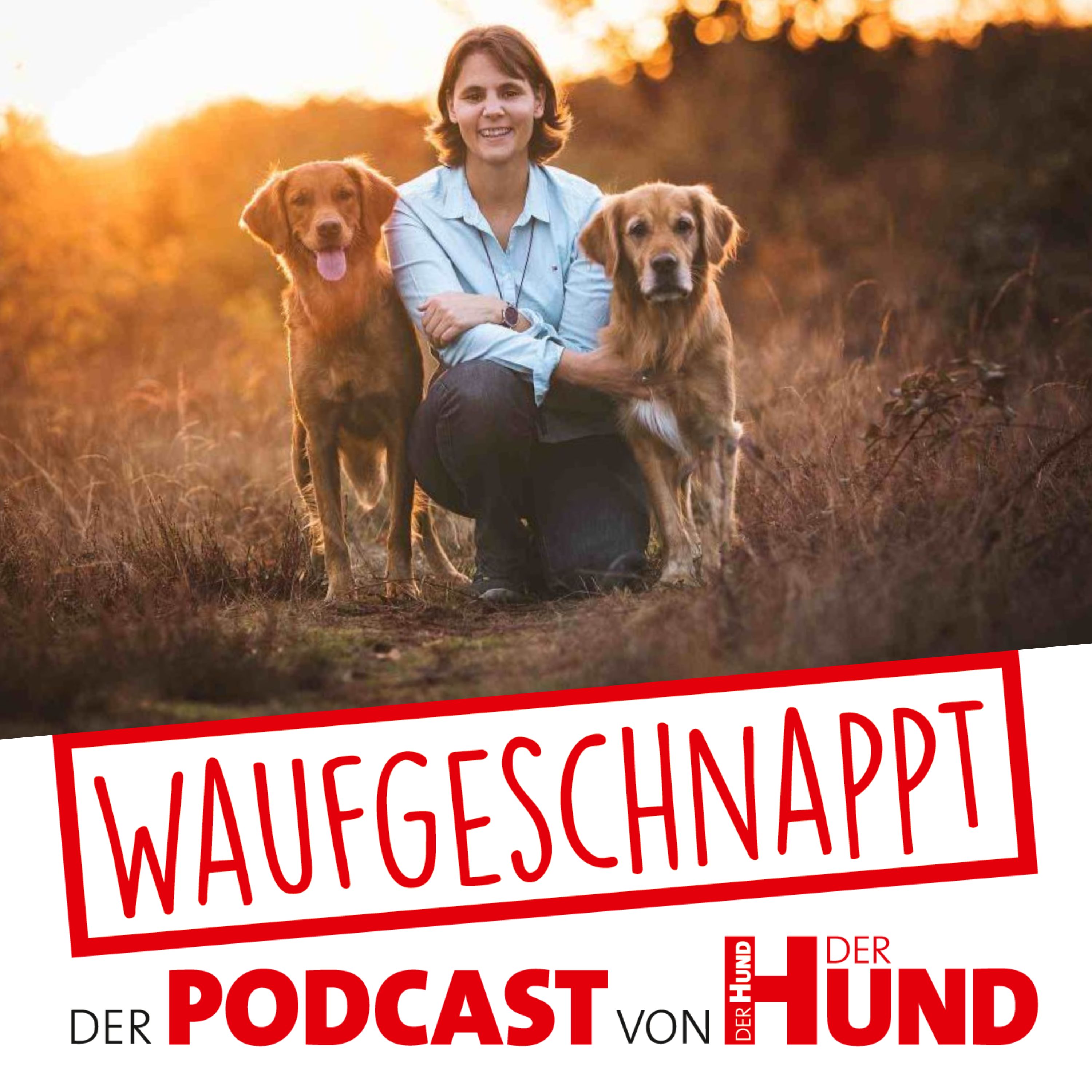 Waufgeschnappt - der Podcast von DER HUND