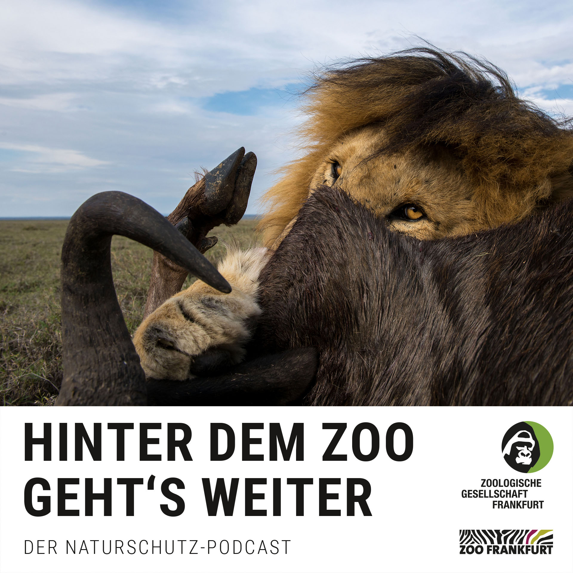 Fressen und gefressen werden: Wie Tierpopulationen gesund bleiben