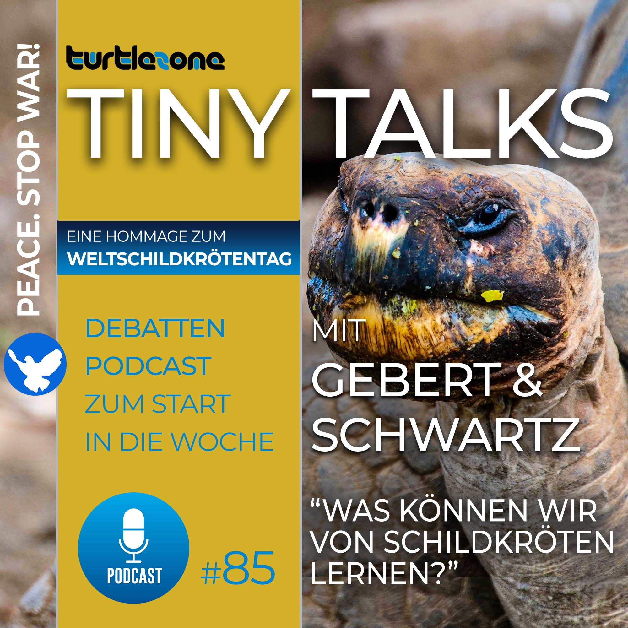 Turtlezone Tiny Talks - Der Debatten-Podcast mit Gebert und Schwartz