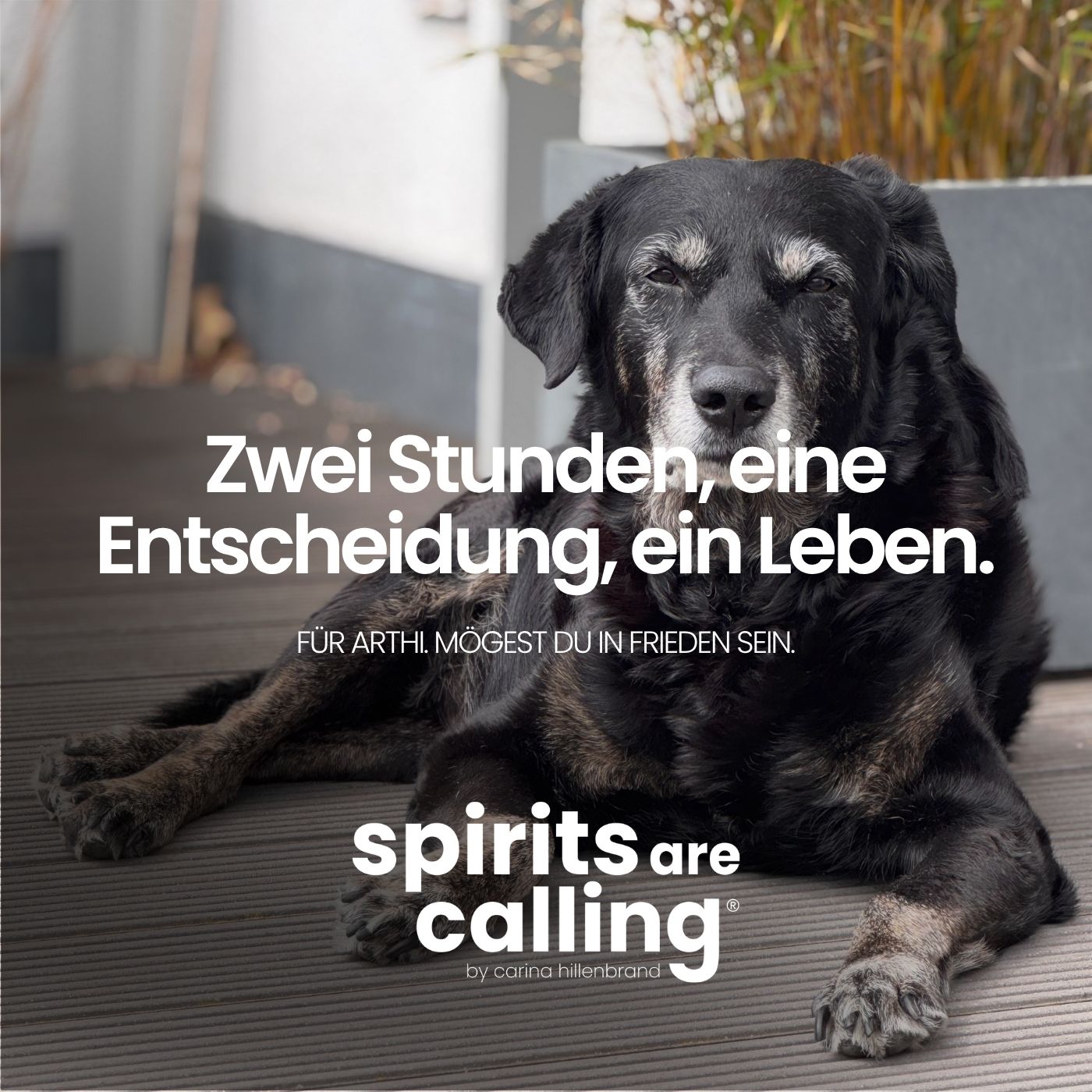 Zwei Stunden, eine Entscheidung, ein Leben episode artwork
