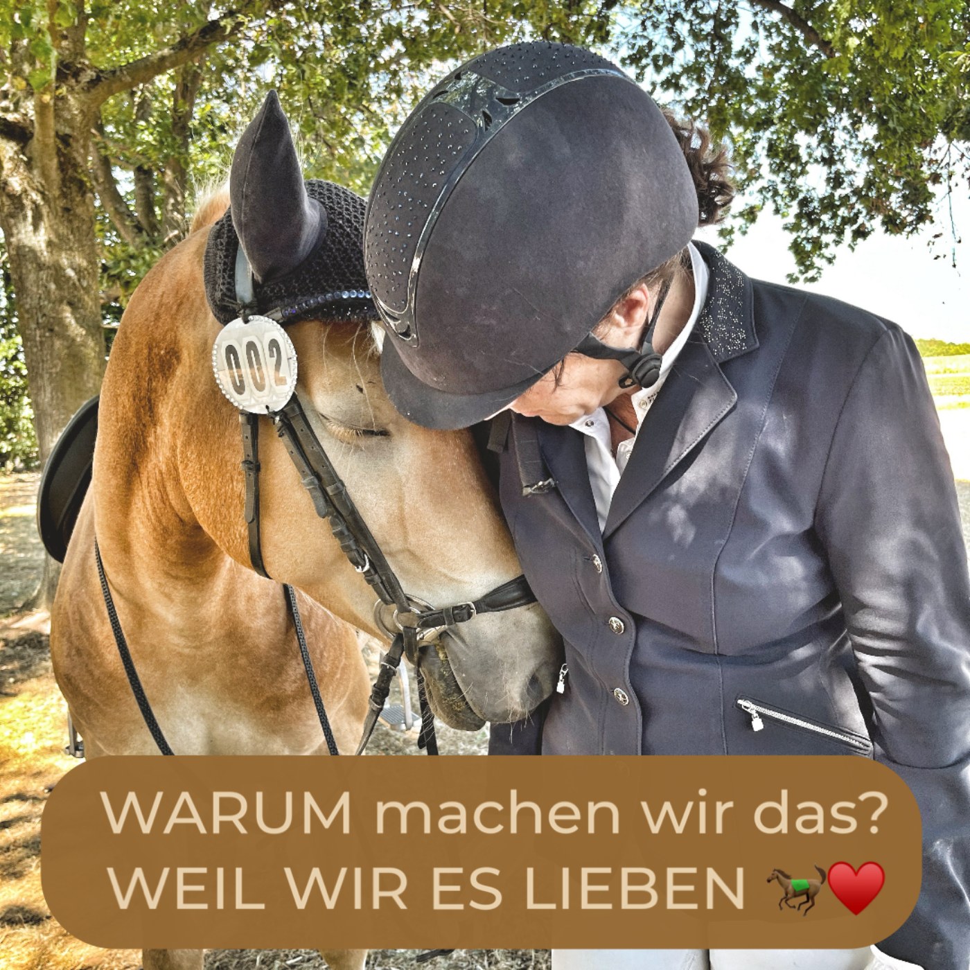 Der Pferdepodcast