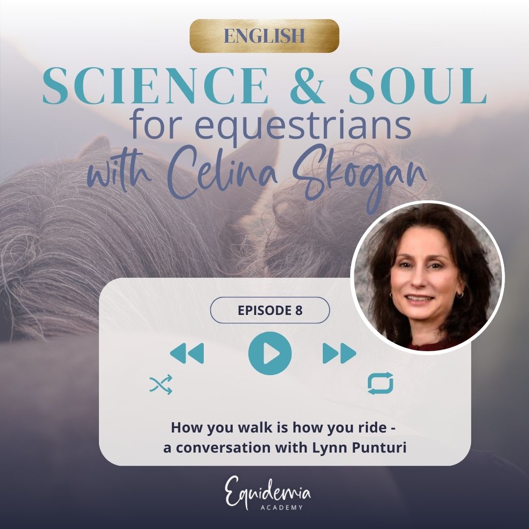 Horsefriends international