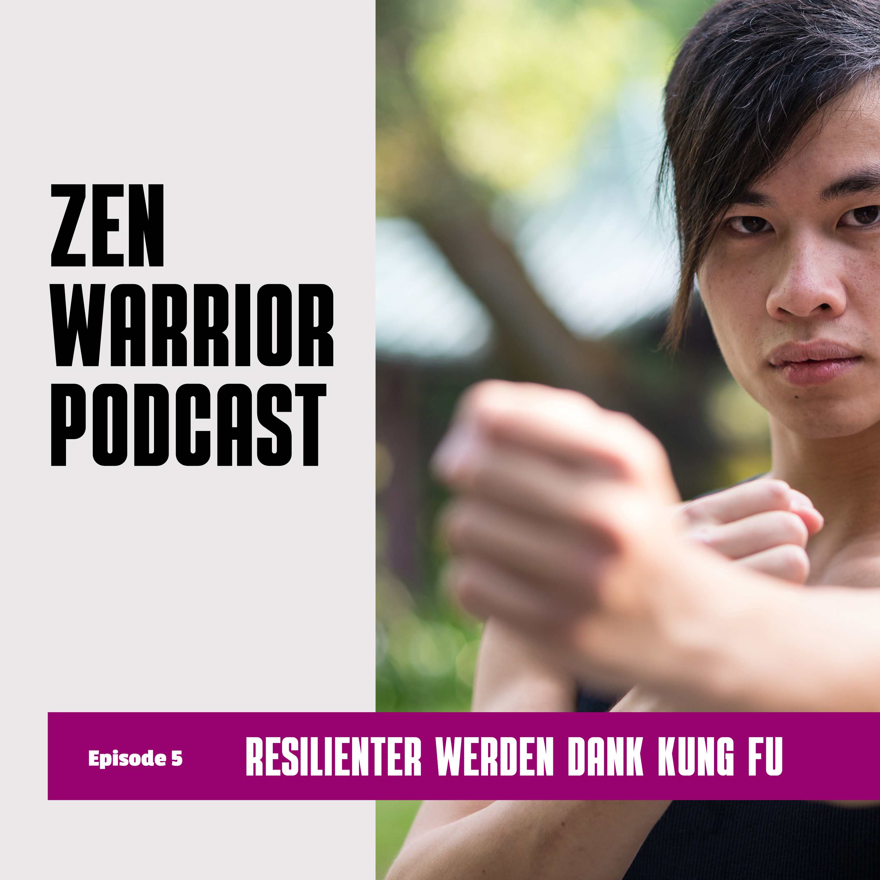 The Zen Warrior Podcast
