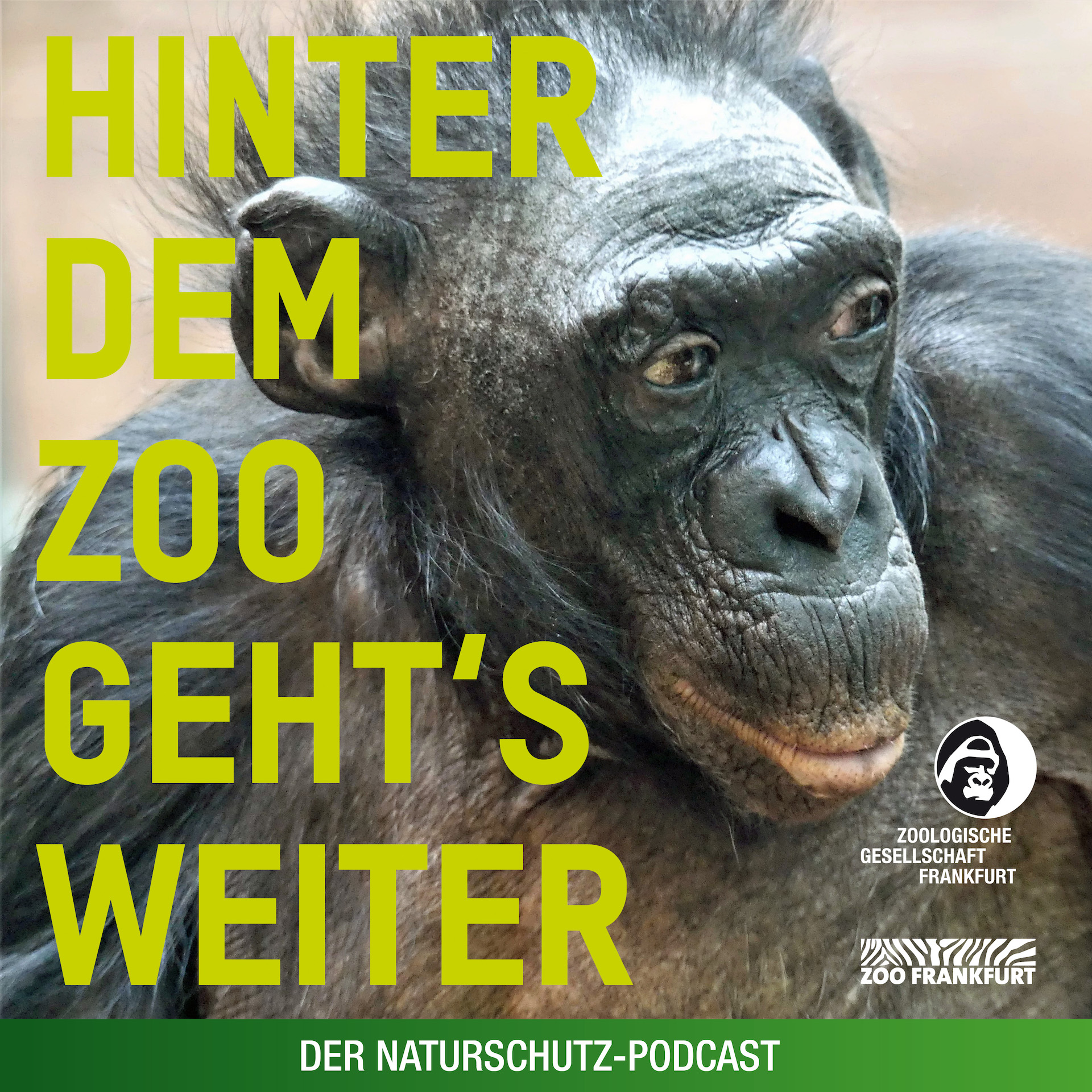 Hinter dem Zoo geht\'s weiter - Der Naturschutzpodcast aus Frankfurt