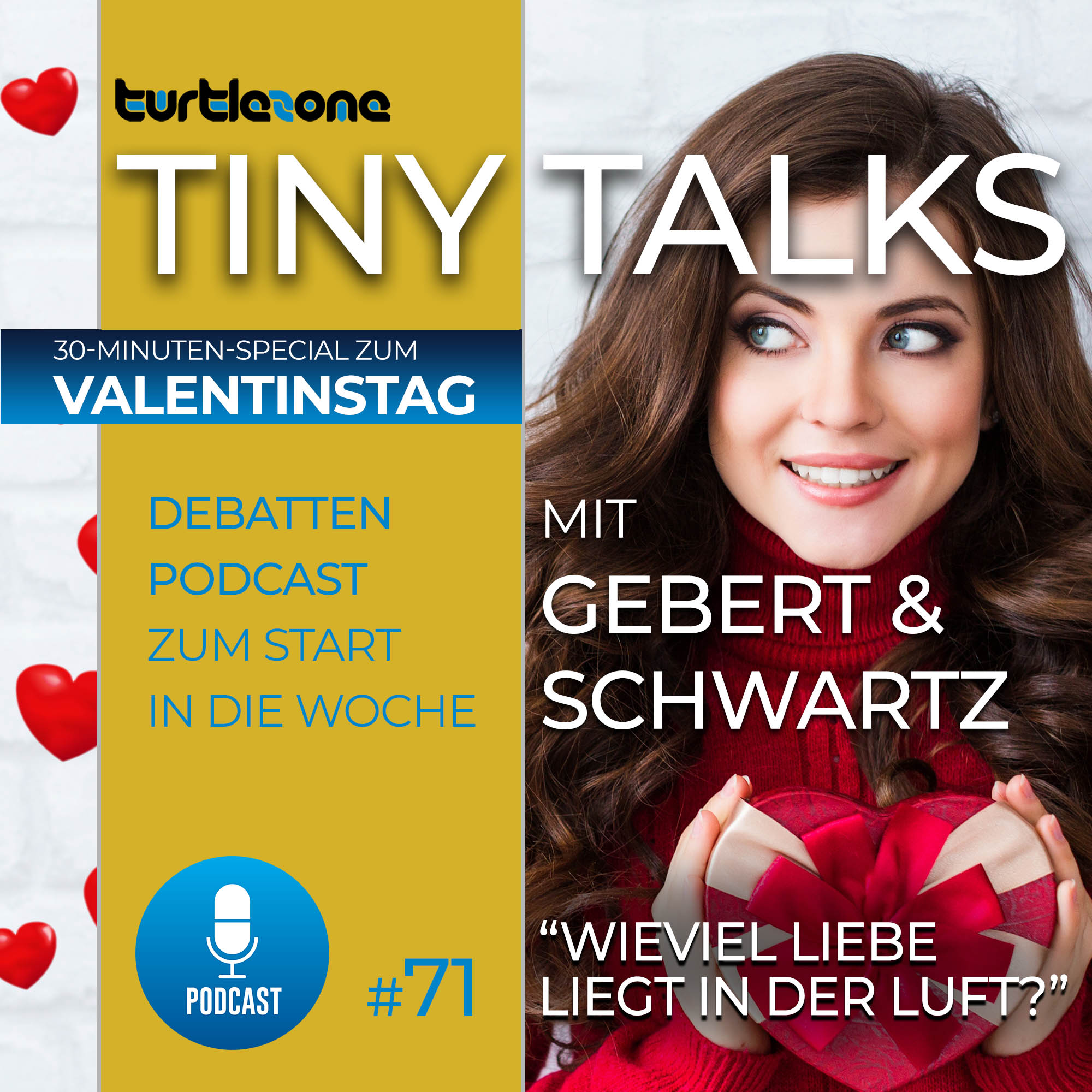 Turtlezone Tiny Talks - Der Debatten-Podcast mit Gebert und Schwartz