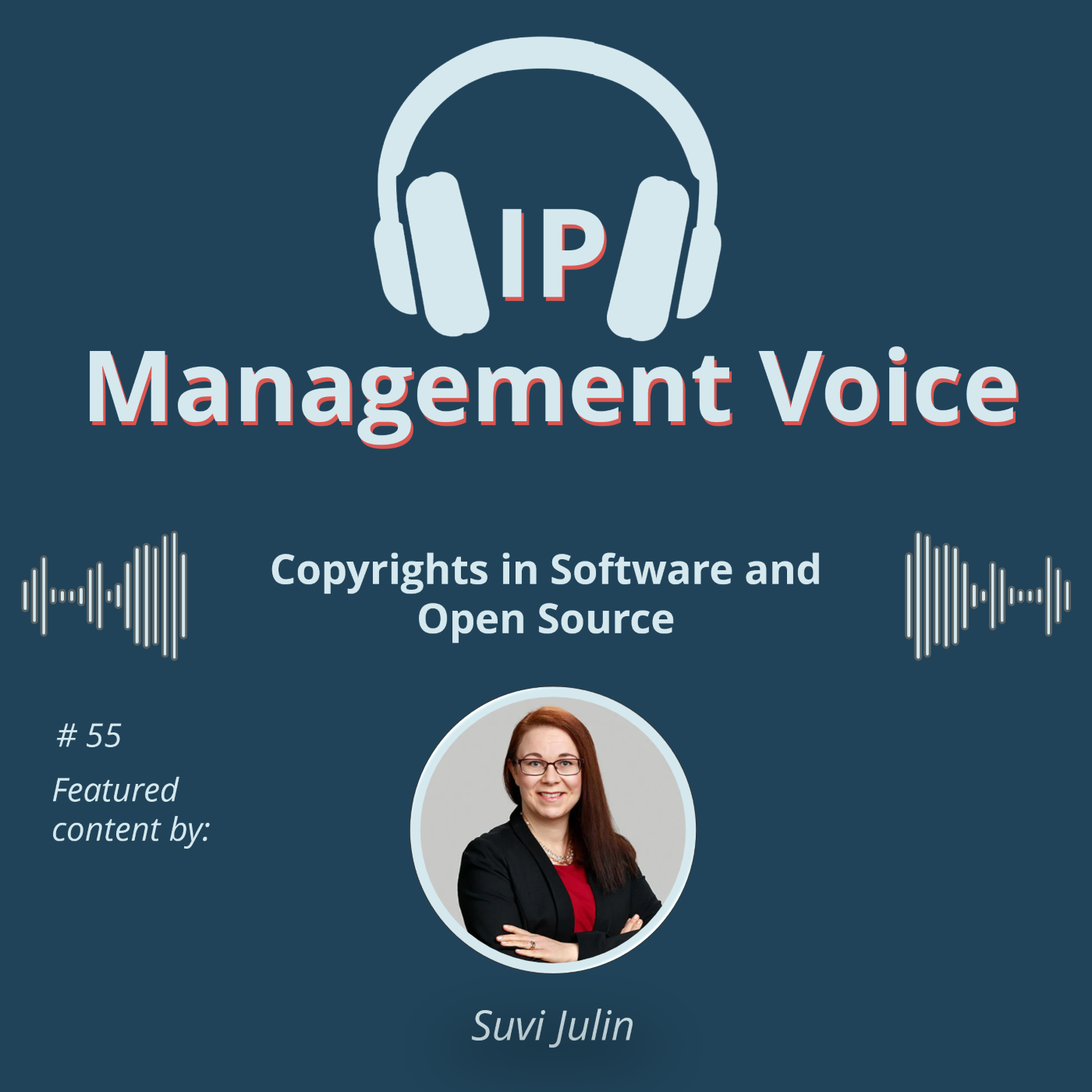 🎧  IP Management Voice - Your Podcast on the World of IP and IP Management