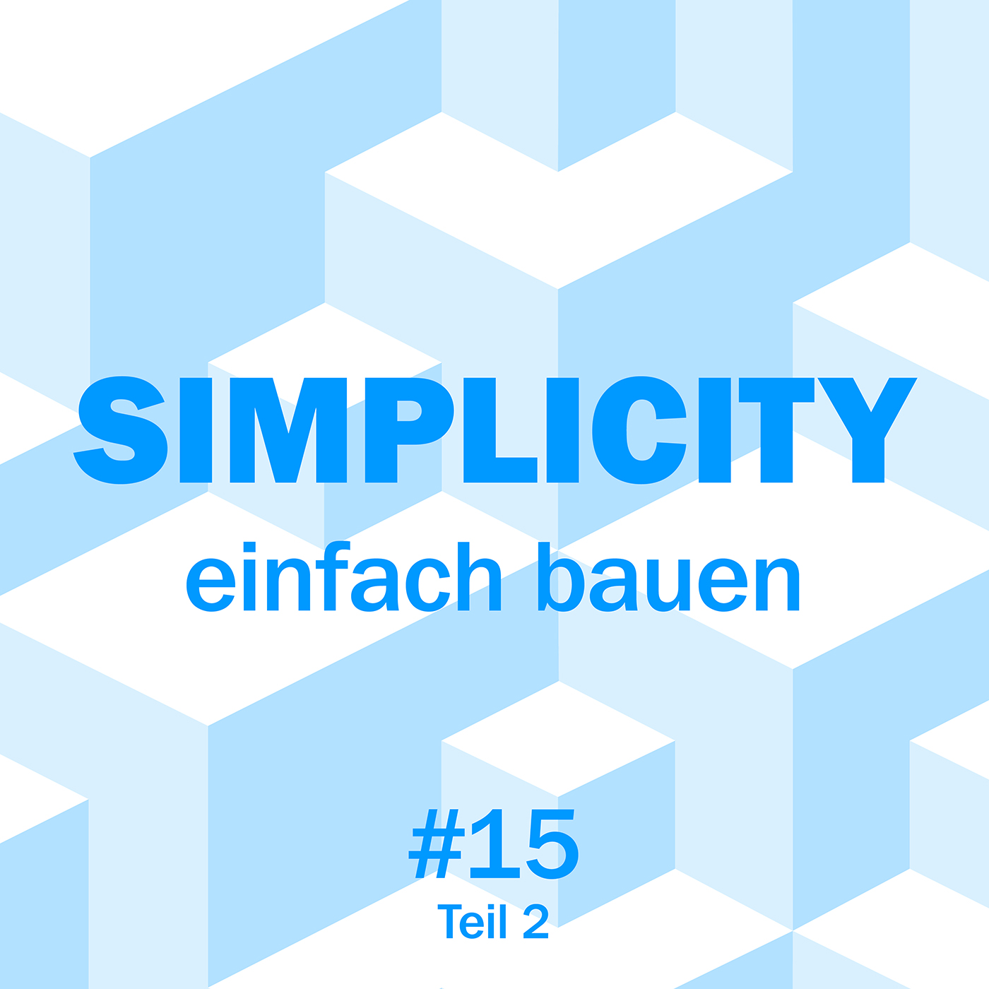 Folge 15 – Teil 2: Martin Düchs – Ist einfaches Bauen eine Frage der Ethik?