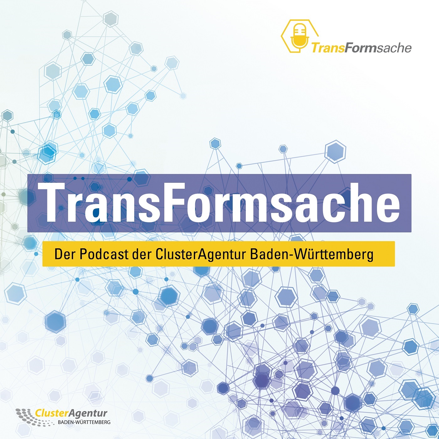 Transformationsprozesse erfolgreich gestalten – Bestehendes für Neues nutzen episode artwork