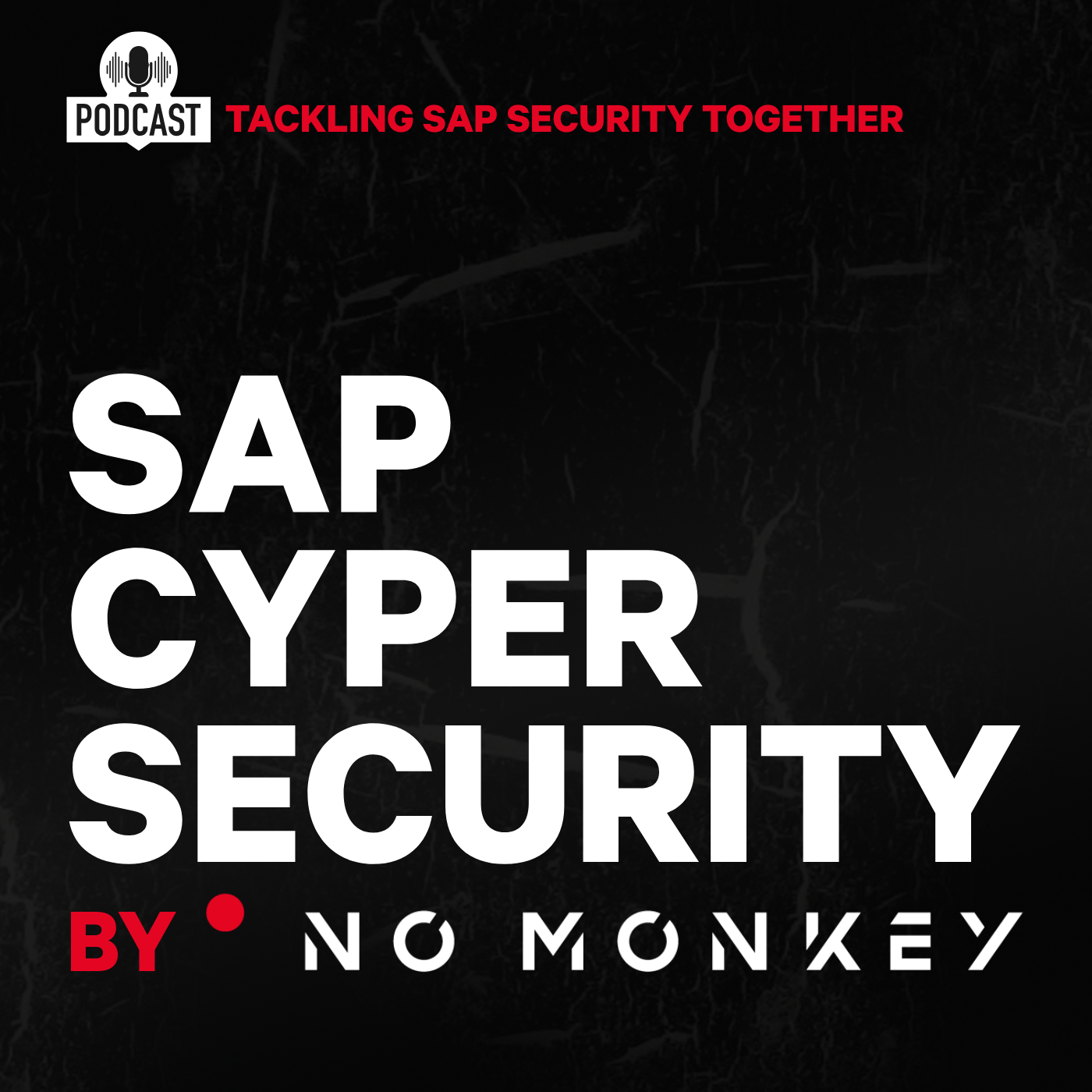 SAP Cybersecurity by NO MONKEY