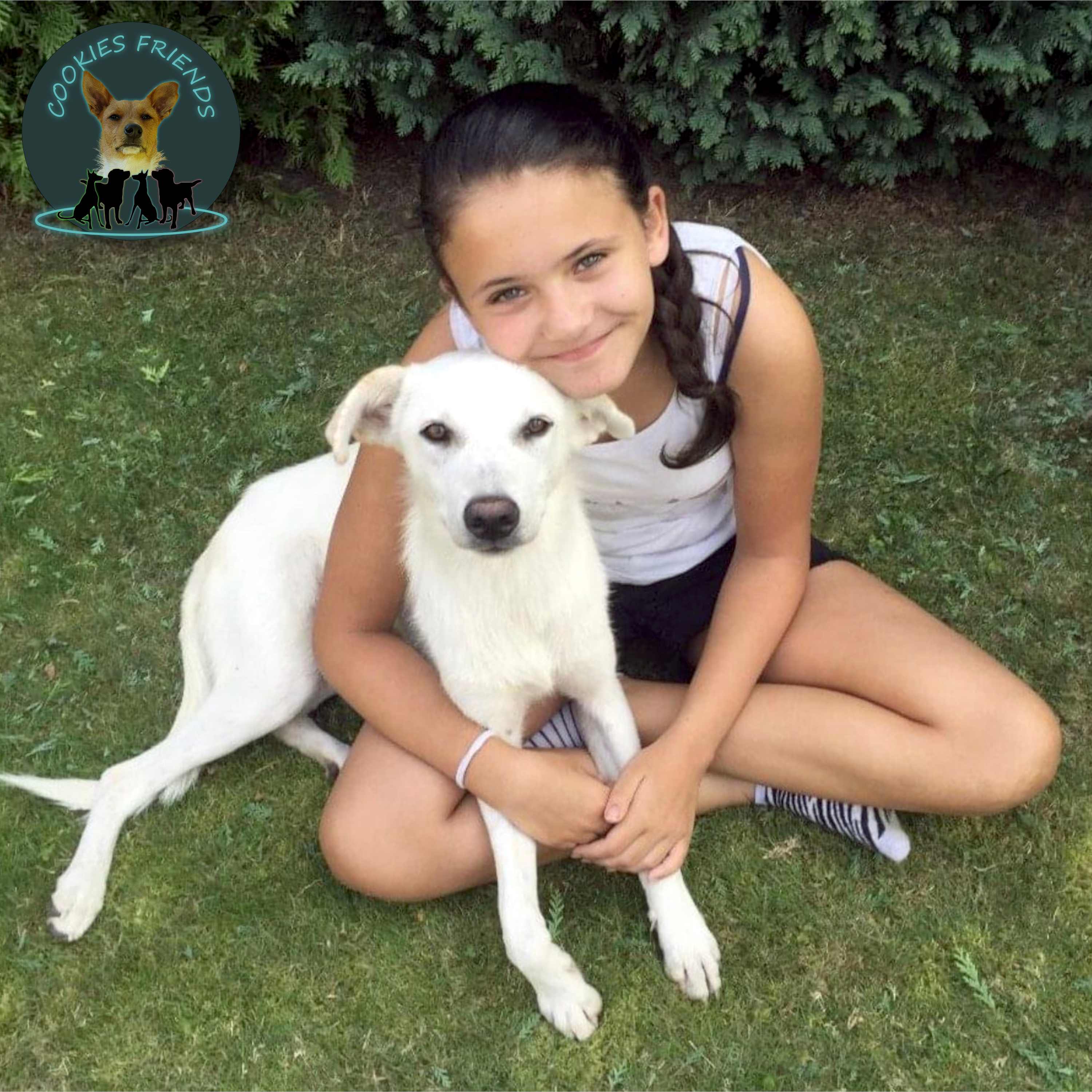 Cookies Friends. Der Podcast für Tierschutz-Hunde