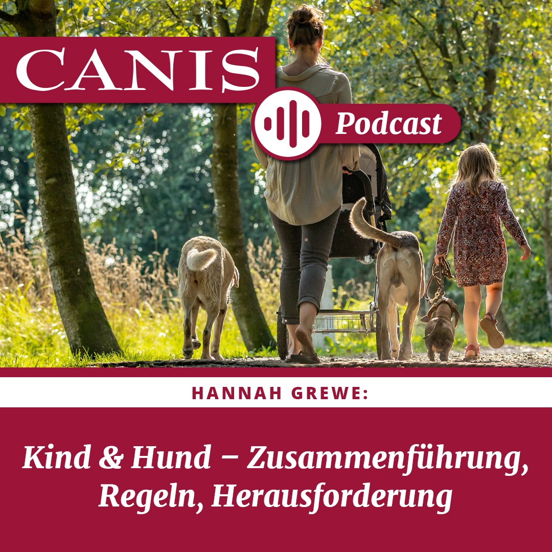 Kind und Hund – Zusammenführung, Regeln, Herausforderungen