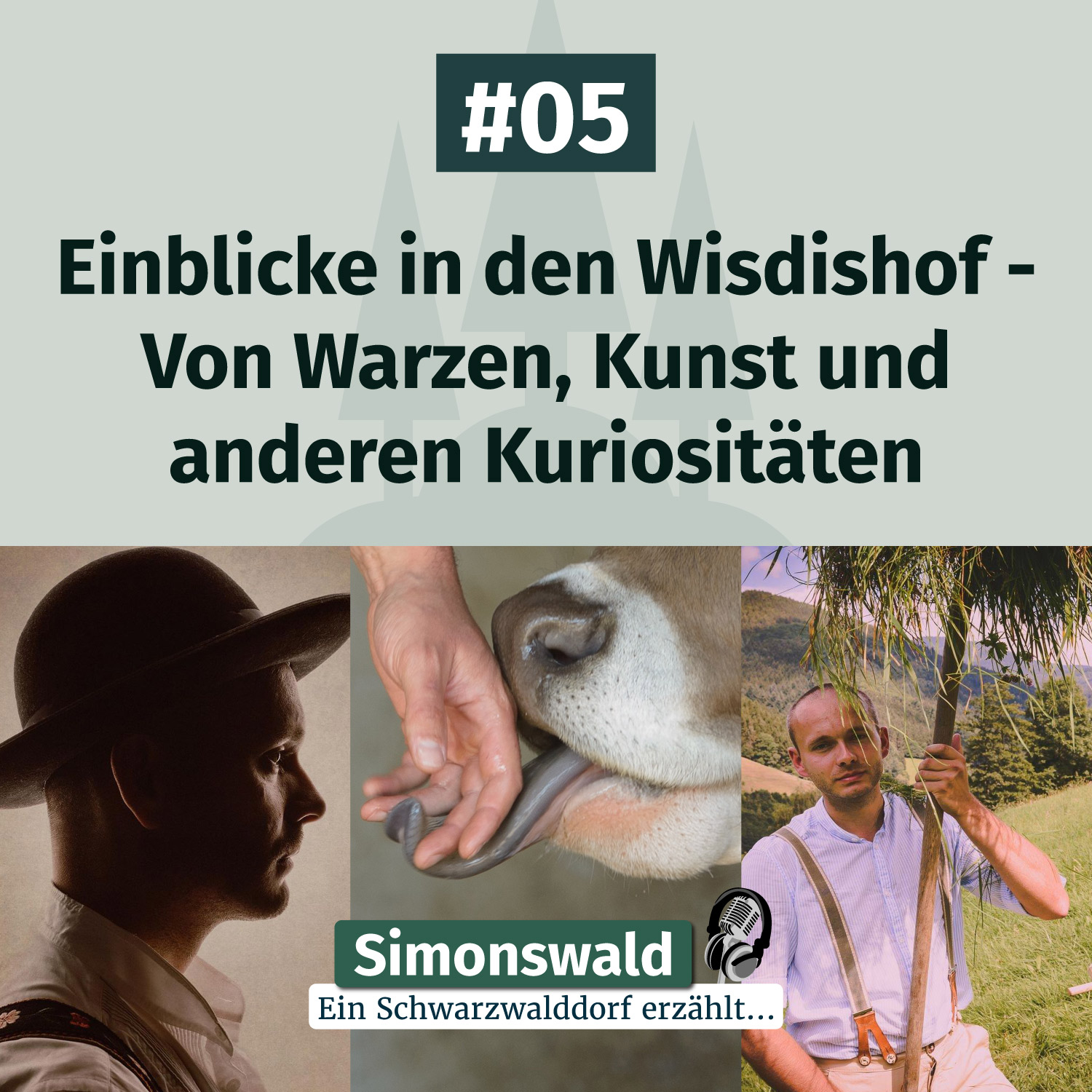 Simonswald - Ein Schwarzwalddorf erzählt