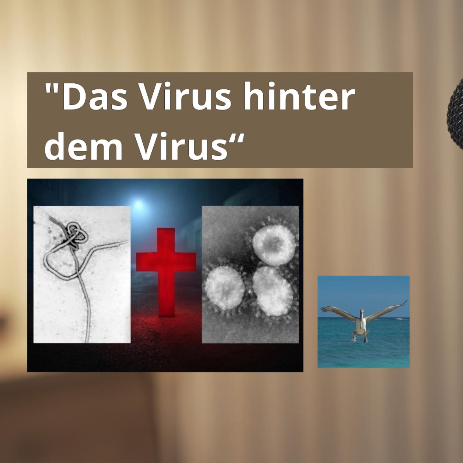 Das Virus hinter dem Virus
