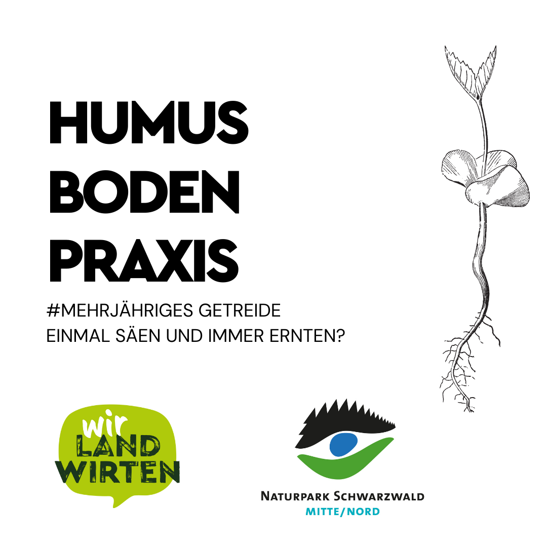 wirlandwirten Podcast