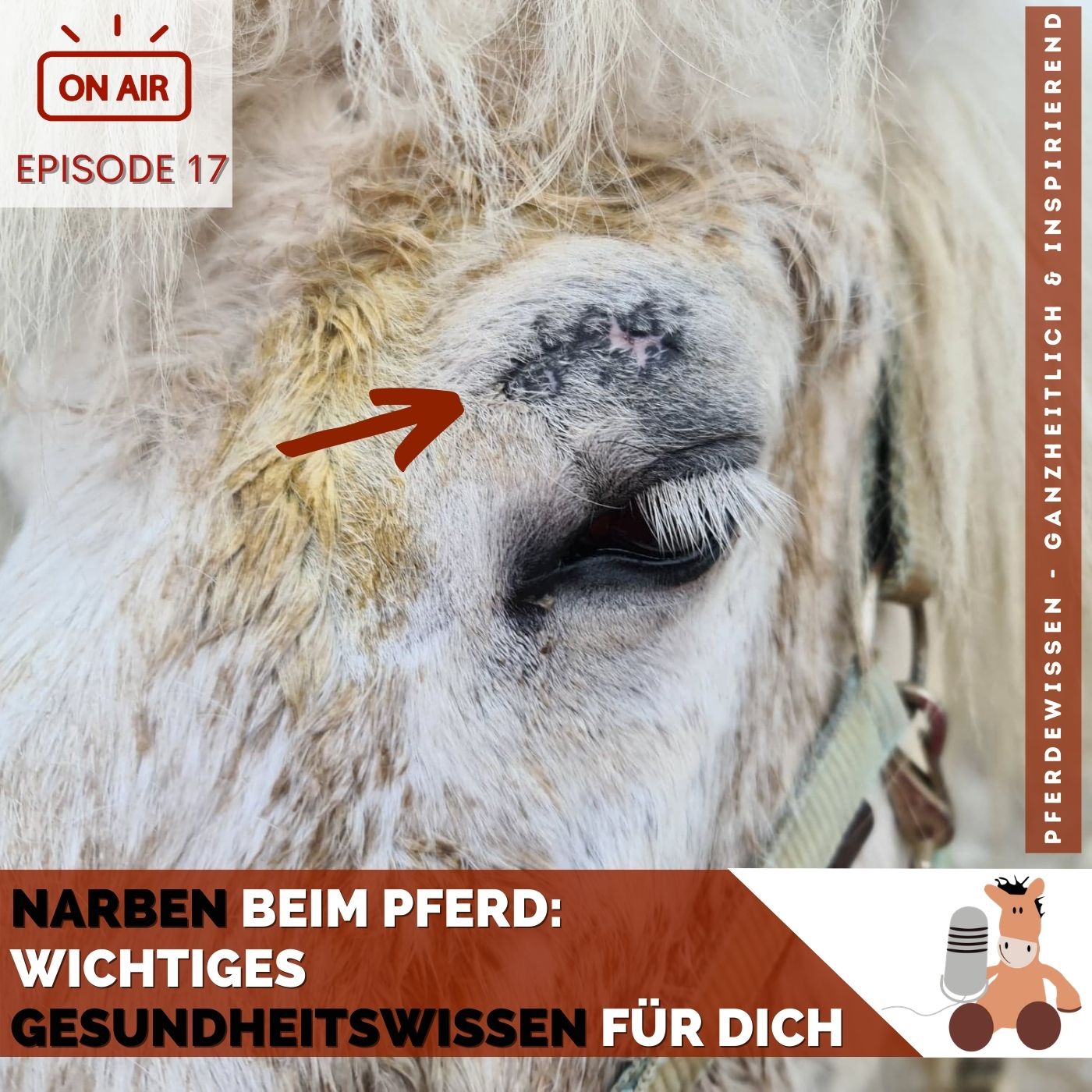 Pferdewissen - ganzheitlich & inspirierend mit Sandra Fencl