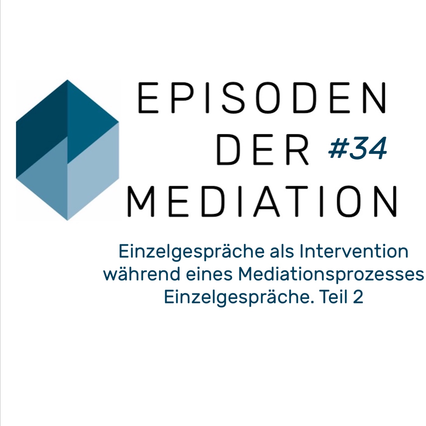 #34 EdM - Einzelgespräche als Intervention während eines Mediationsprozesses