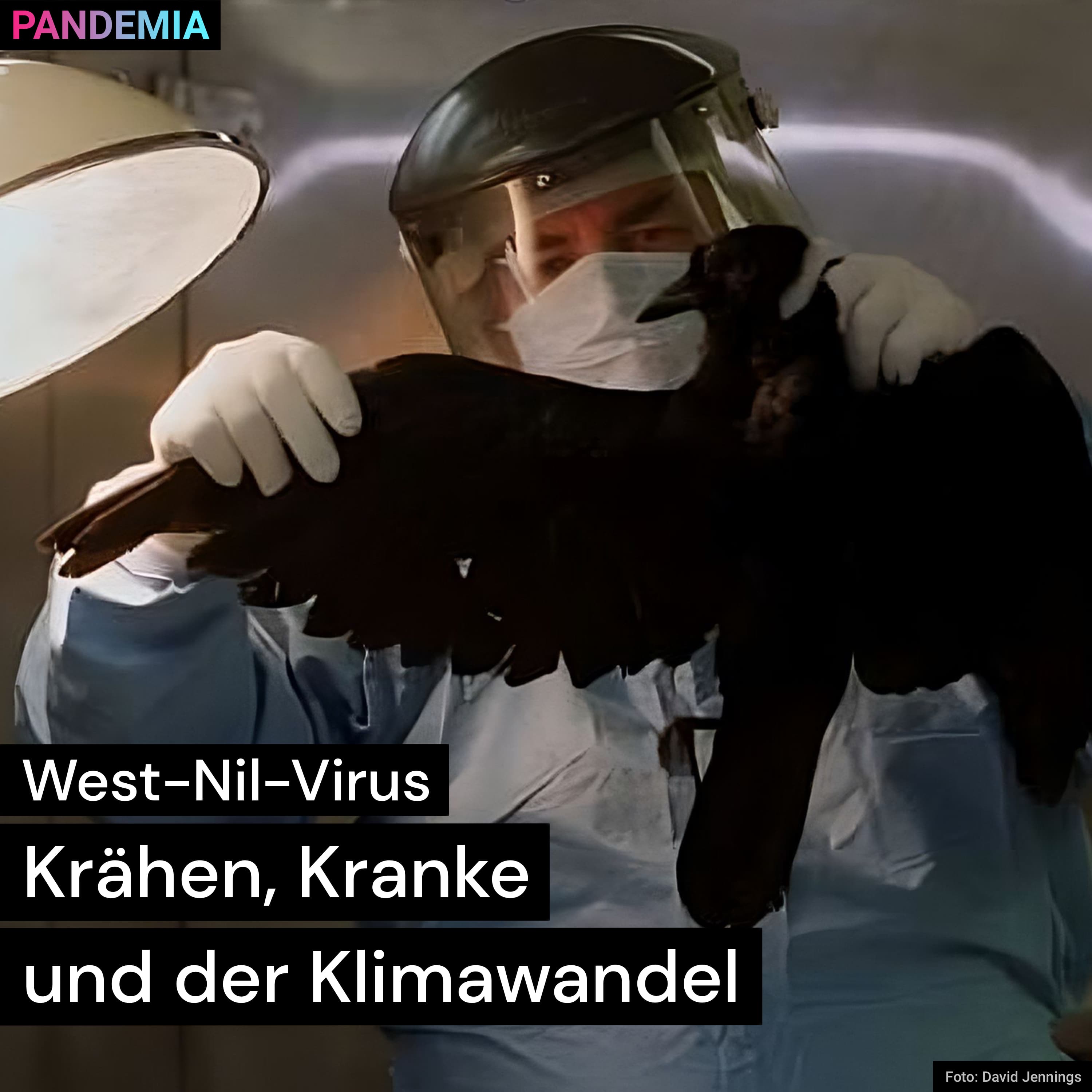 Pandemia