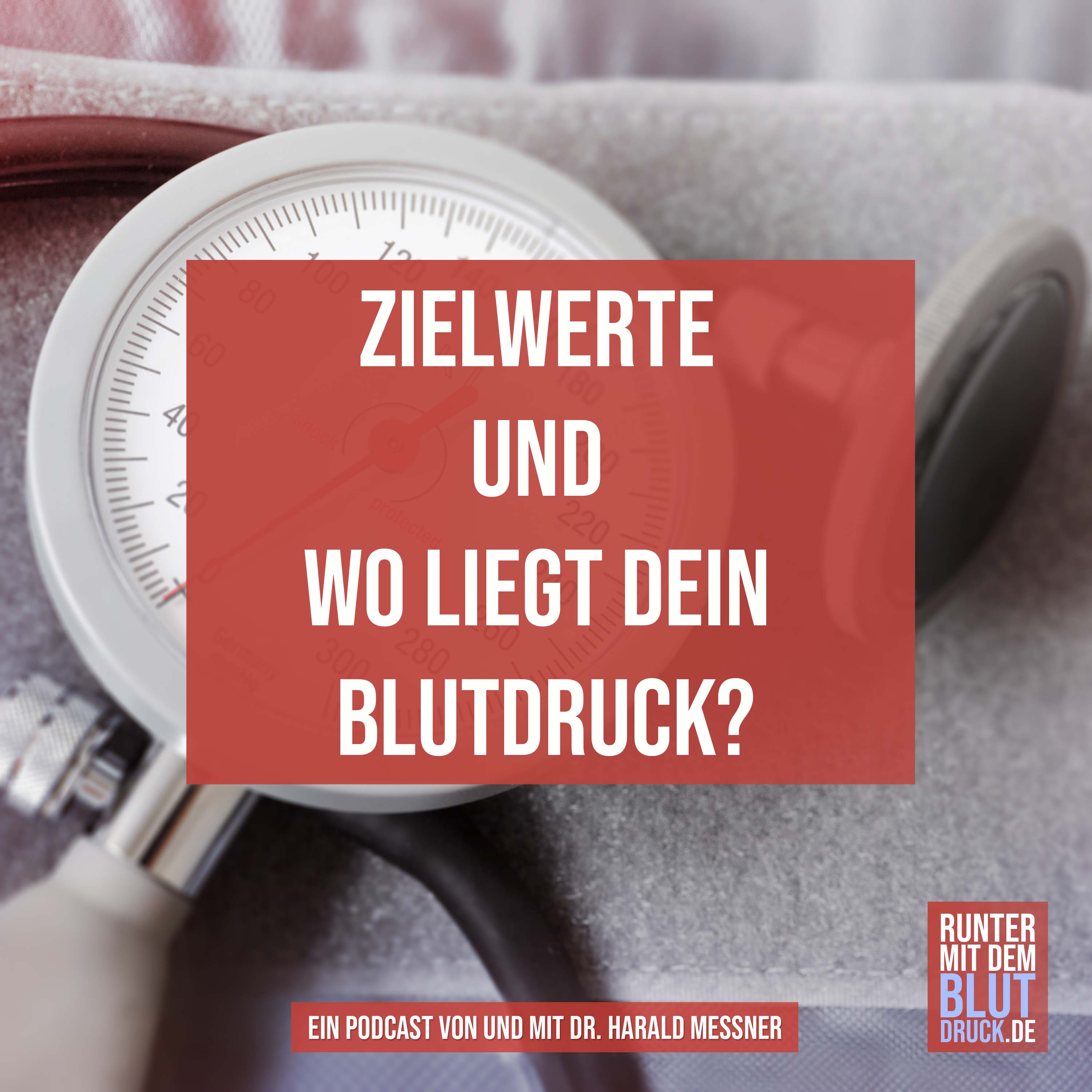 Runter mit dem Blutdruck