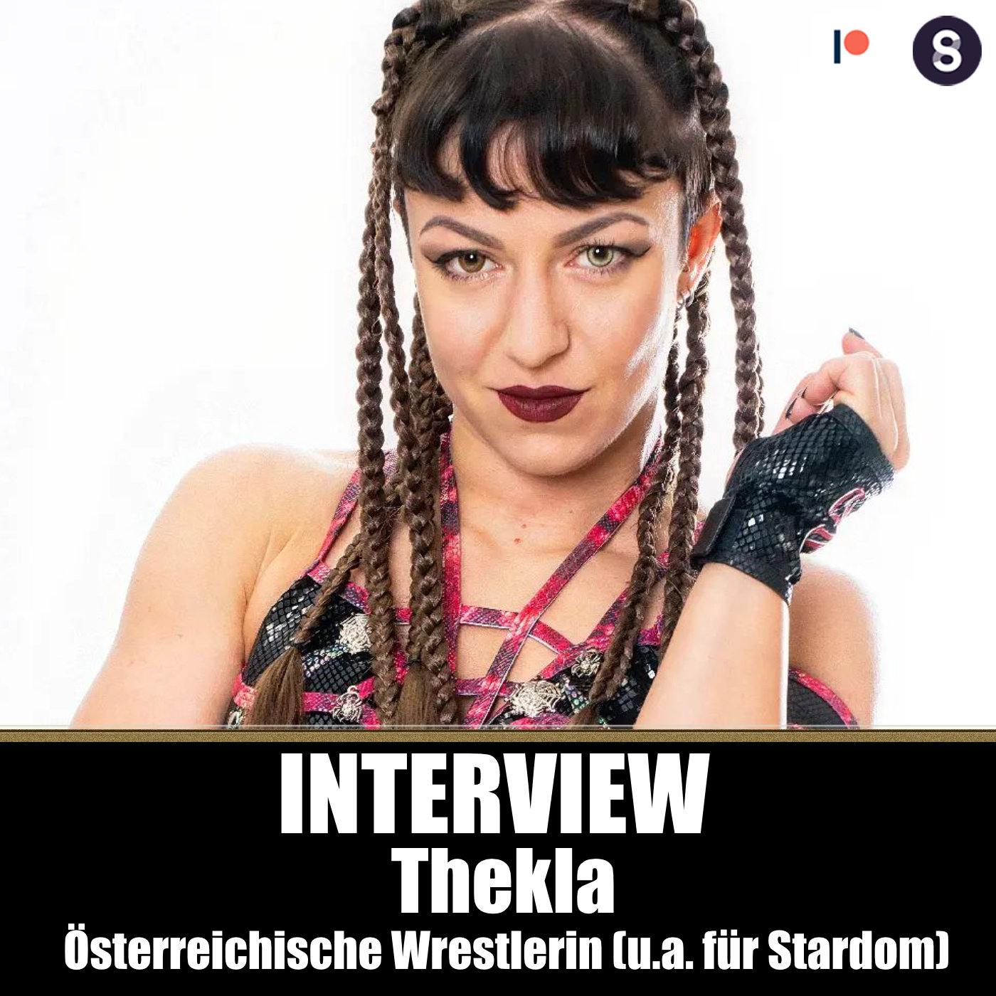 HEADLOCK - Pro Wrestling Interviews