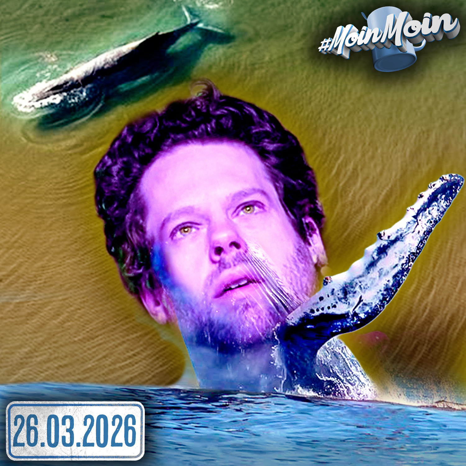 #1616 | WAL GESTRANDET! Florentin begleitet die Rettung LIVE!