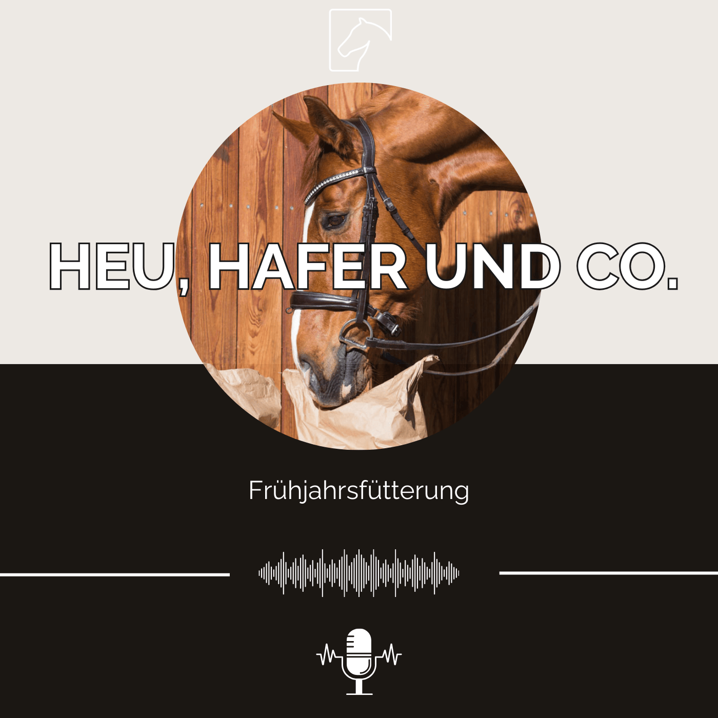 Heu, Hafer & Co: Der Pferdefutter-Podcast