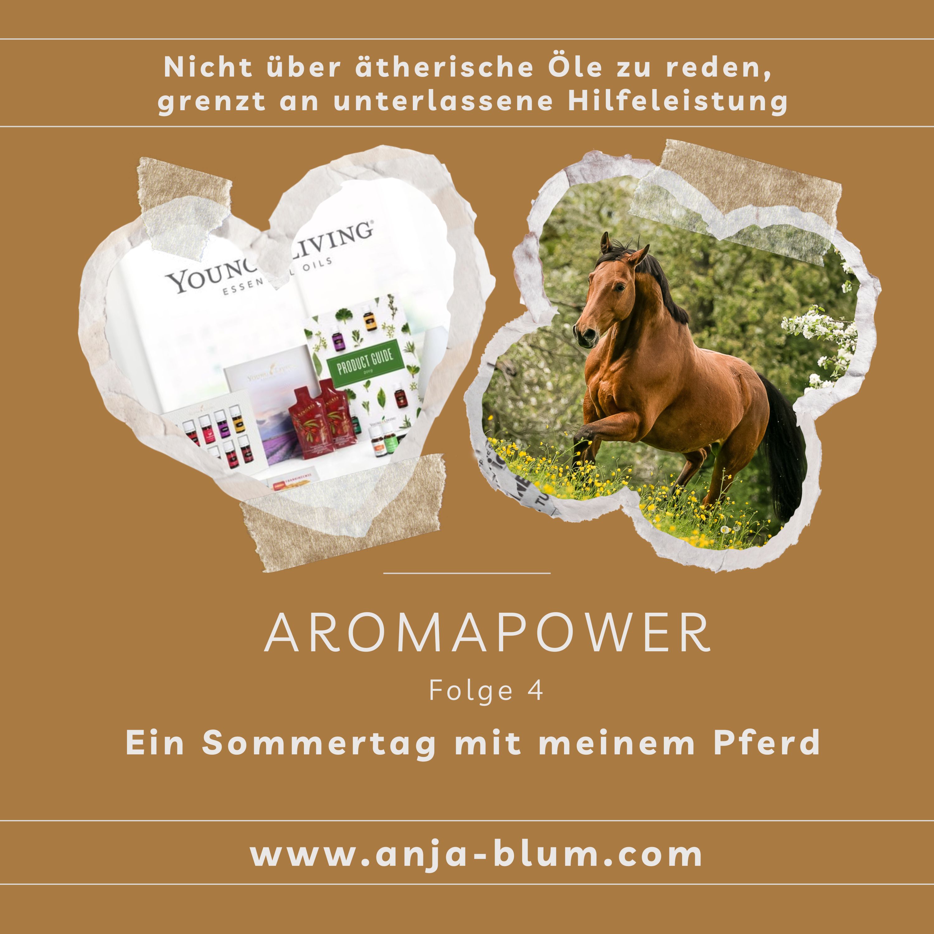 Ein Sommertag mit meinem Pferd