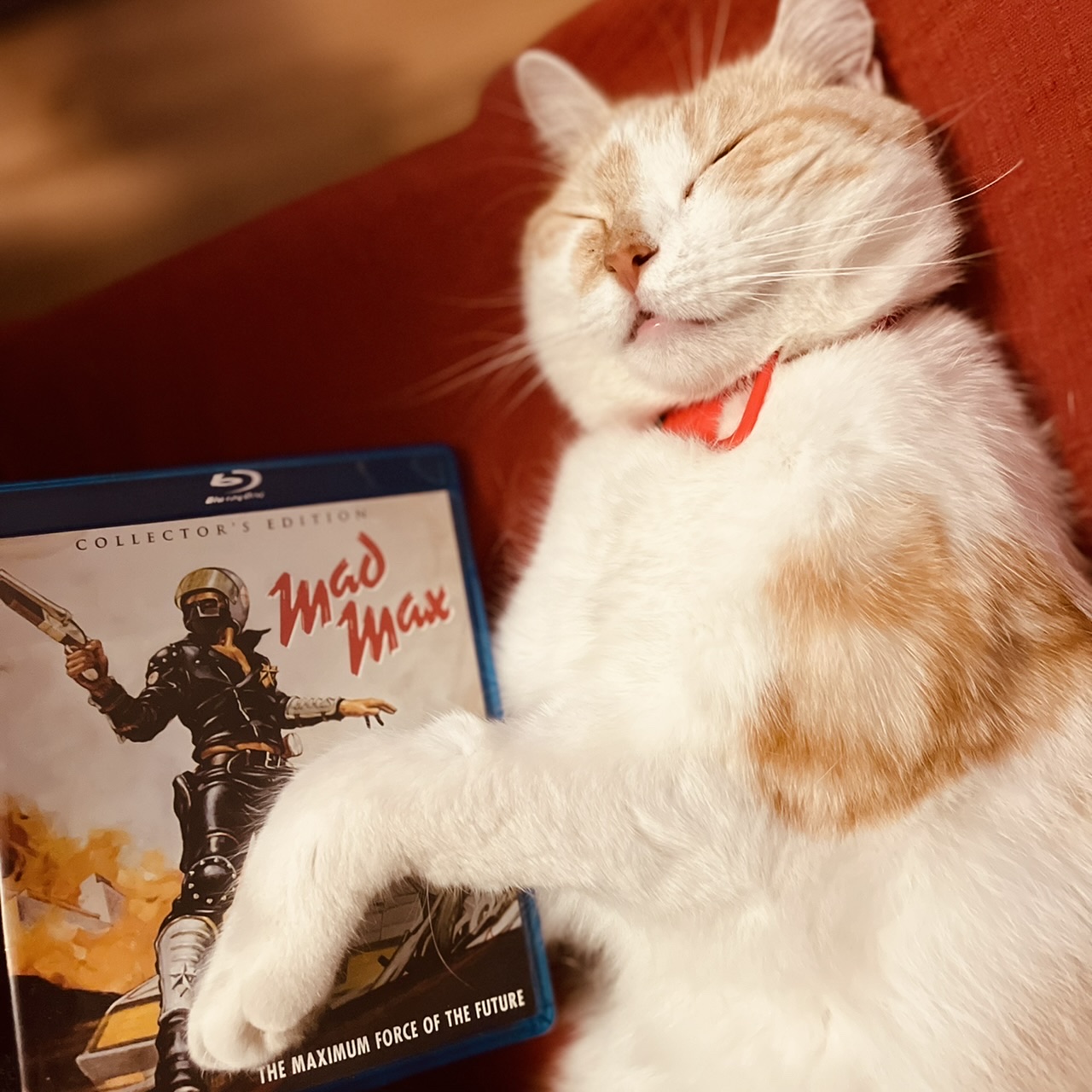 Spielfilmen - Der filmographische Podcast