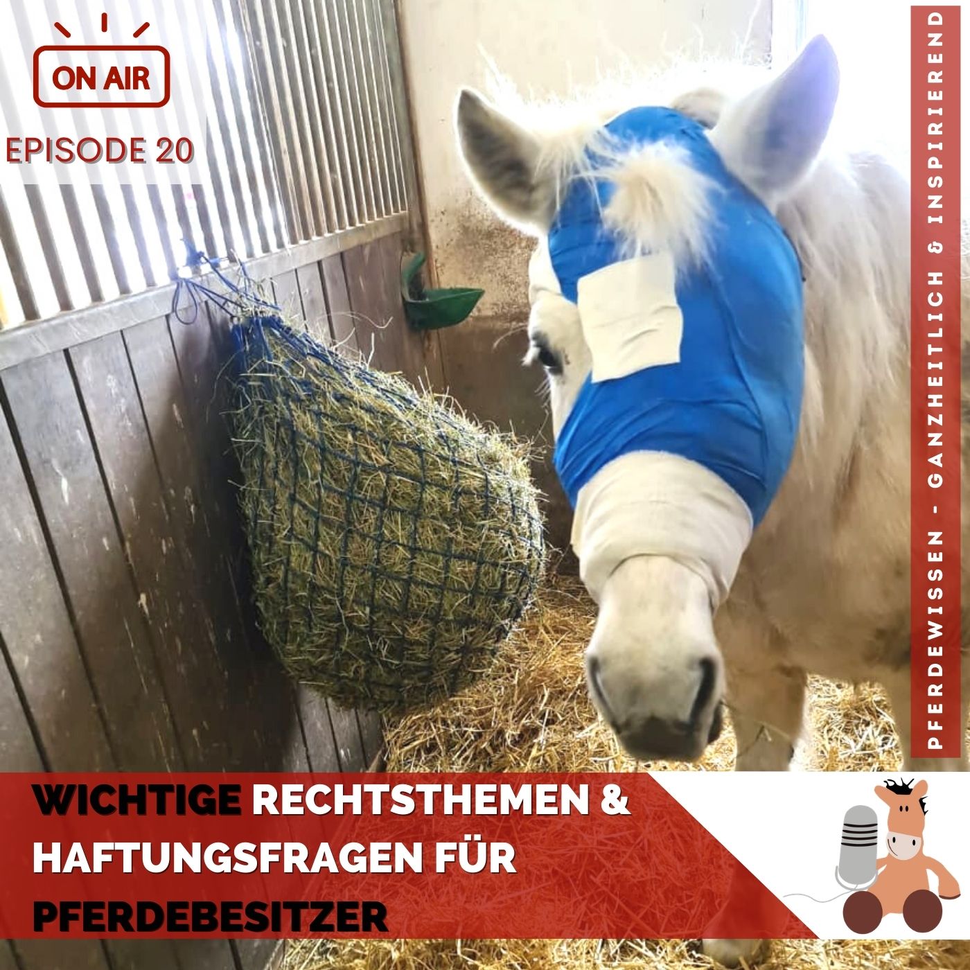 Pferdewissen - ganzheitlich & inspirierend mit Sandra Fencl
