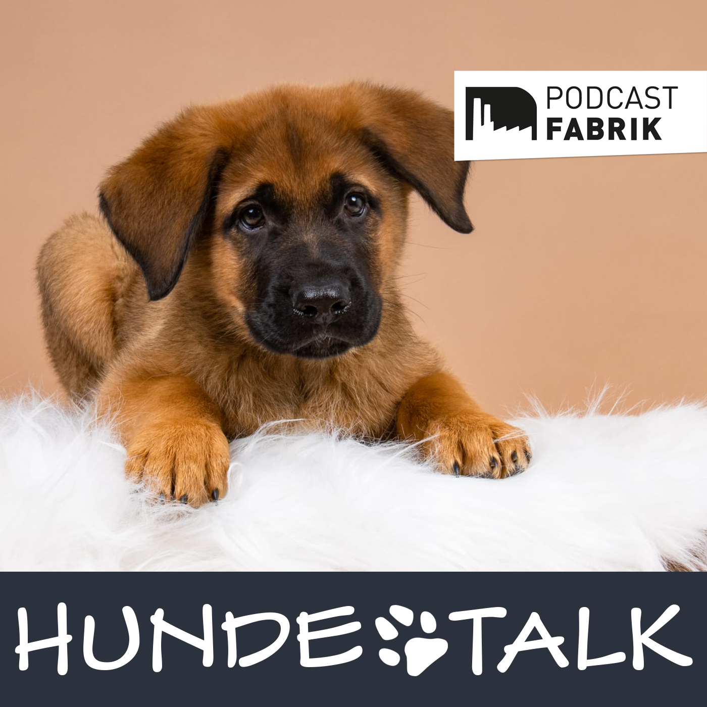 HUNDETALK - Dein Hunderunde-Podcast
