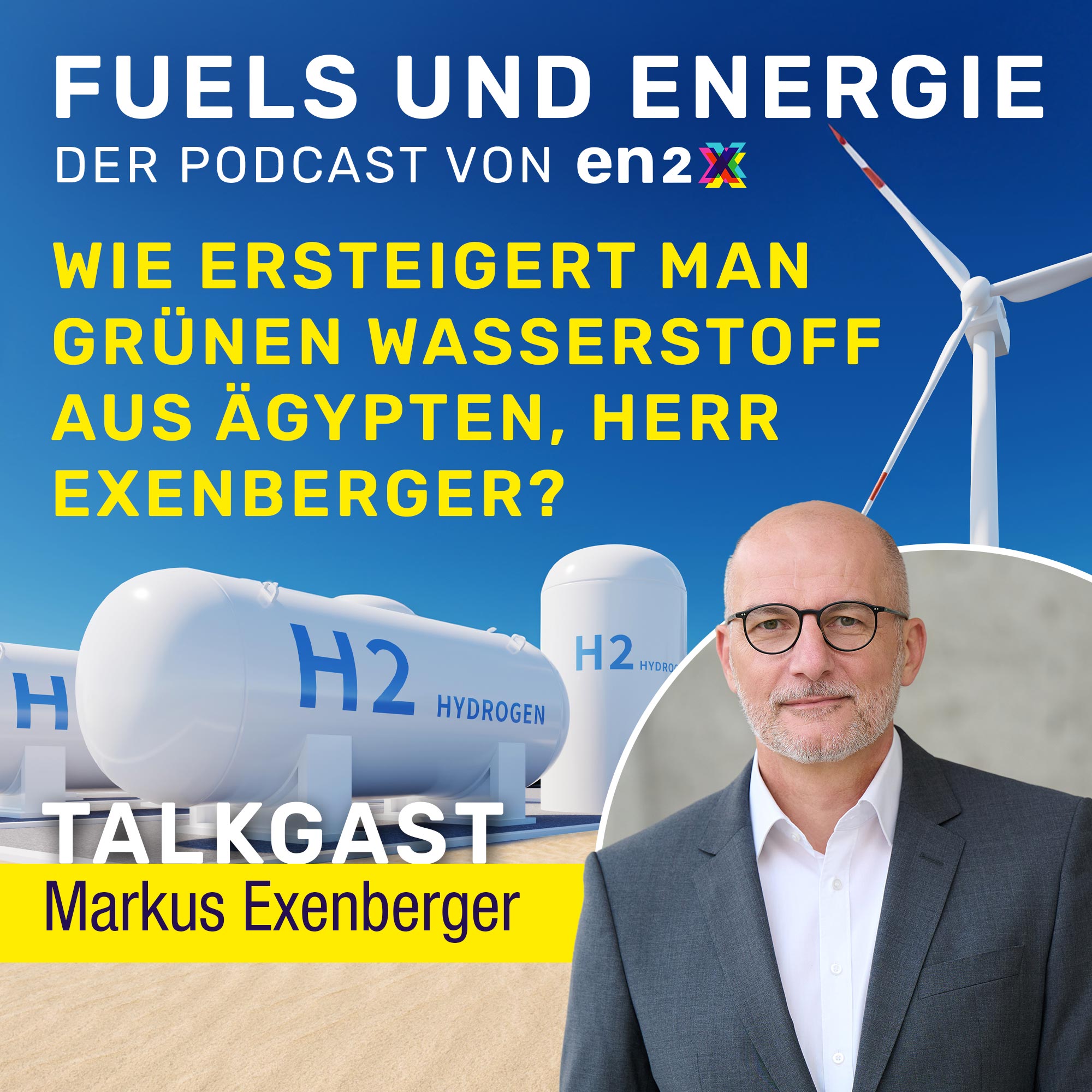 Wie ersteigert man grünen Wasserstoff aus Ägypten, Herr Exenberger?
