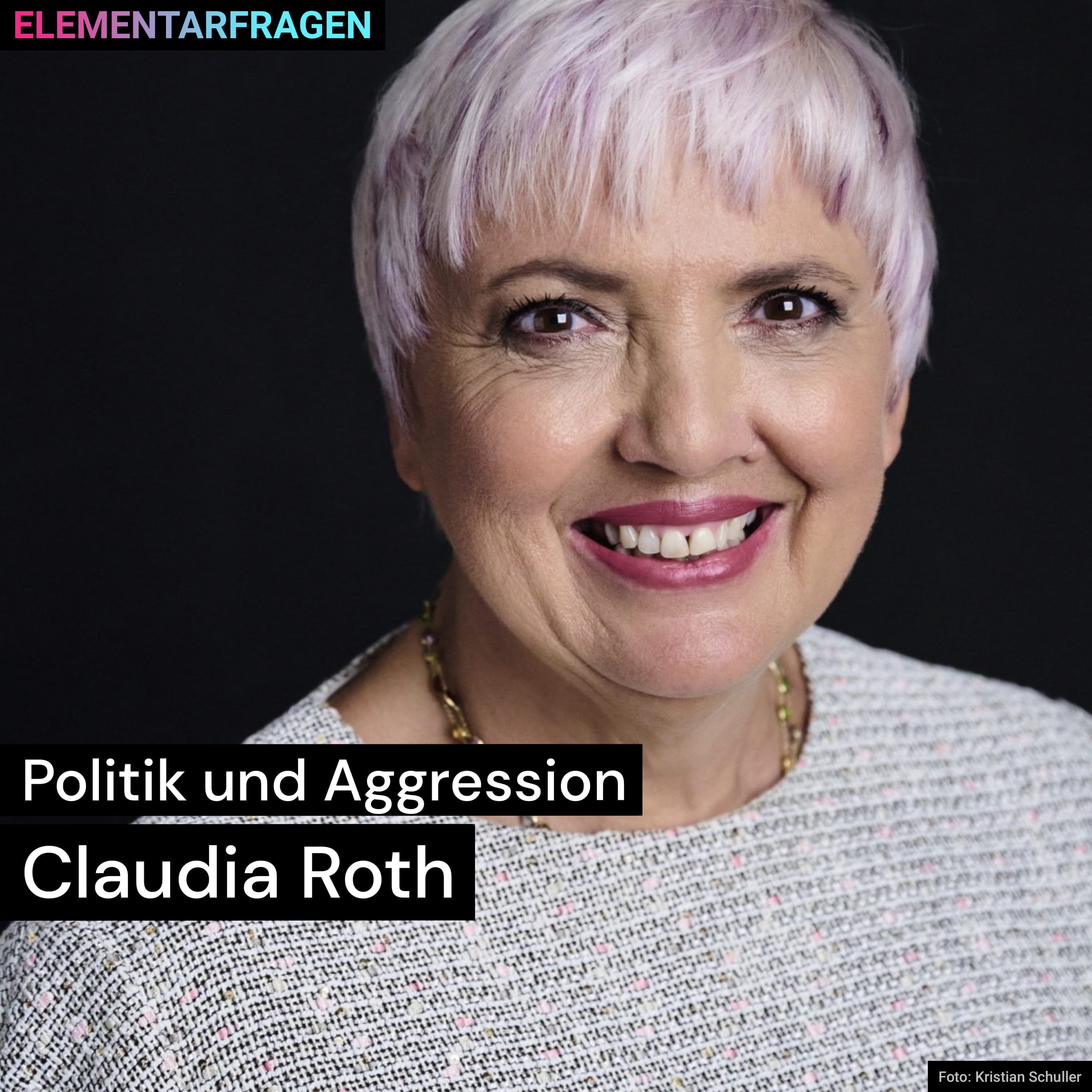 Politik und Aggression | Claudia Roth