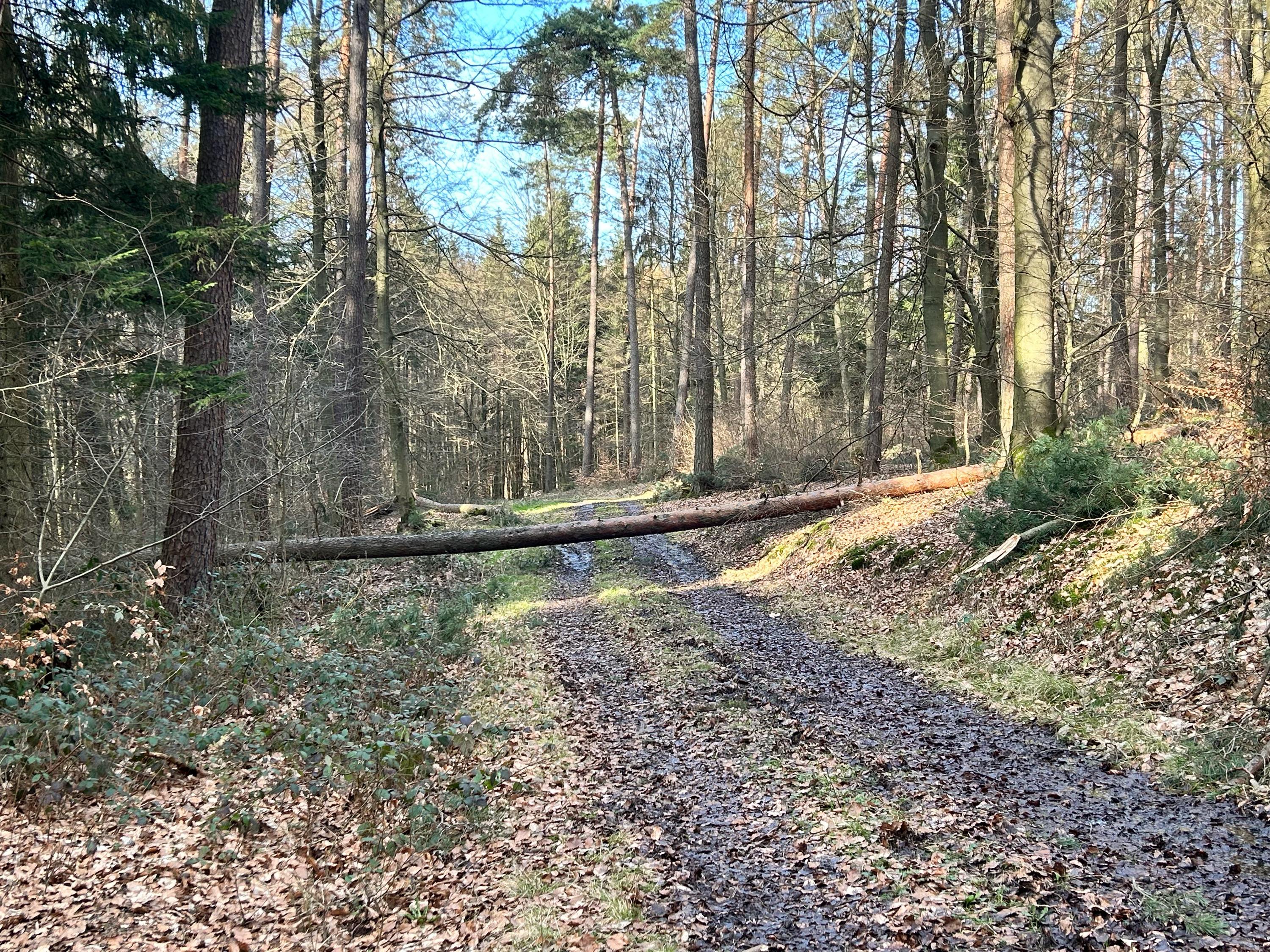 Seelen(ge)Schichten