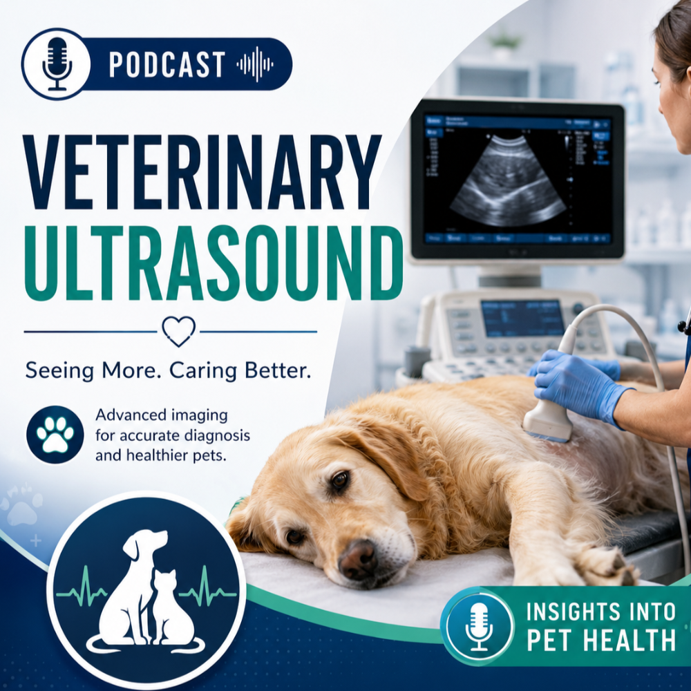 The Role of Ultrasound in Pet Care