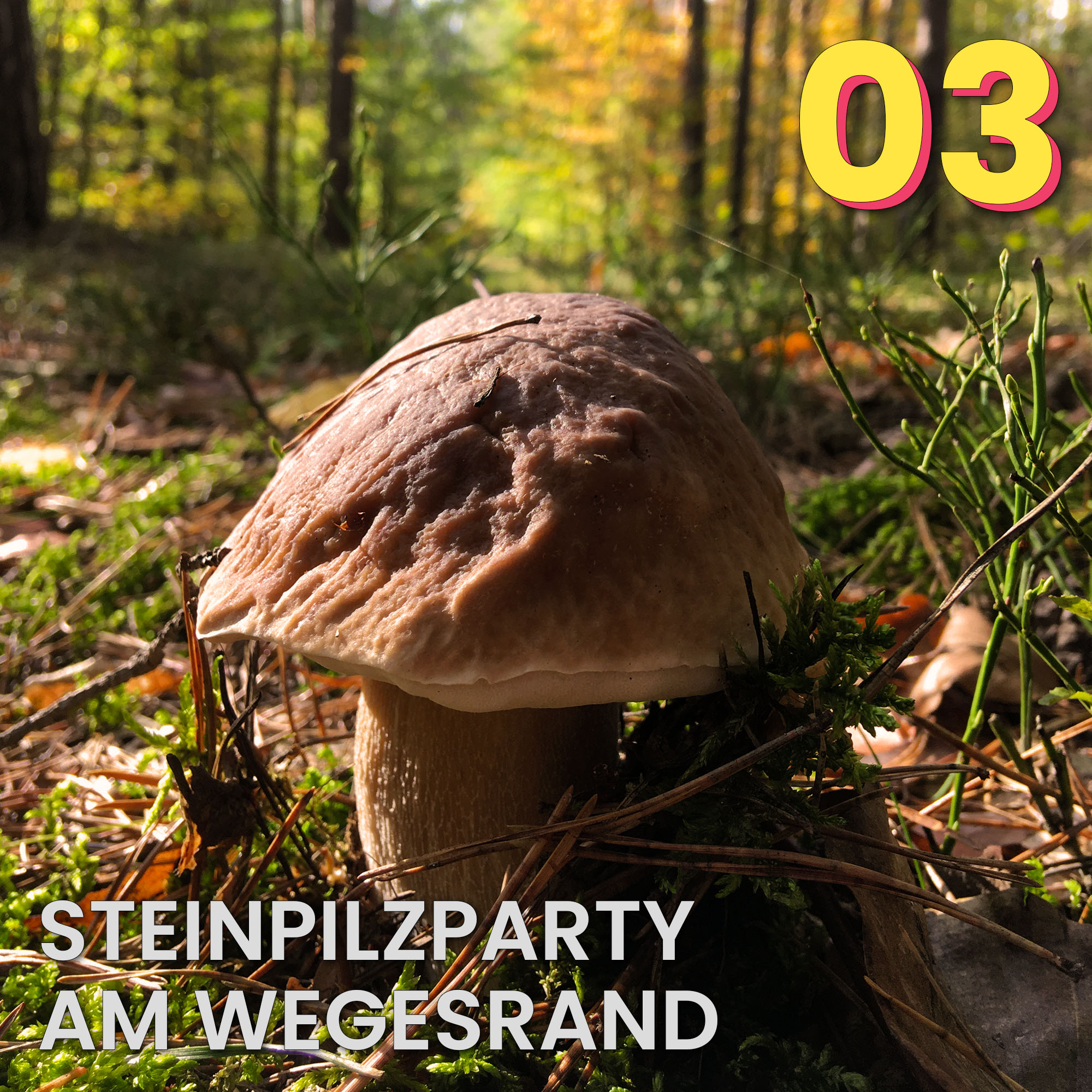 Der Pilzpodcast
