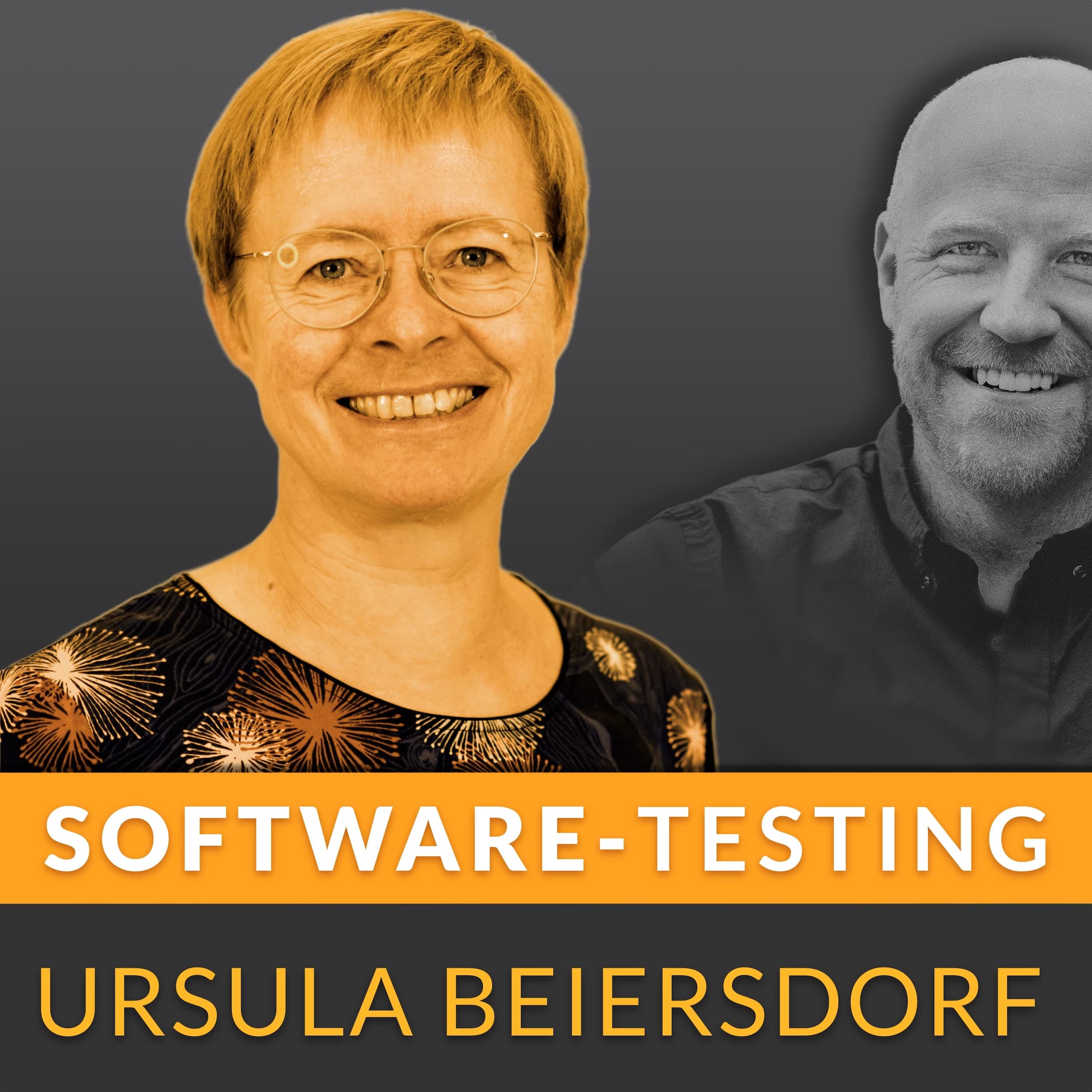 Software Testing - Qualität, Testautomatisierung & Agilität