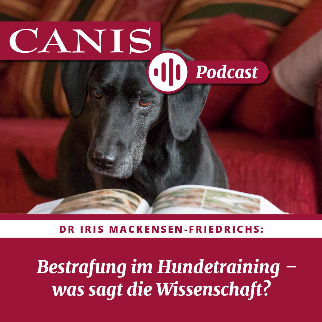 Der CANIS-Podcast – Hundeexpert:innen ausgefragt
