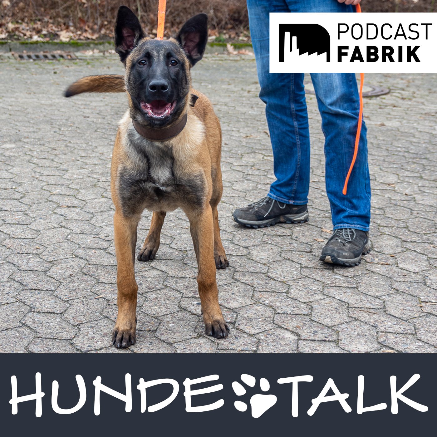 HUNDETALK - Dein Hunderunde-Podcast