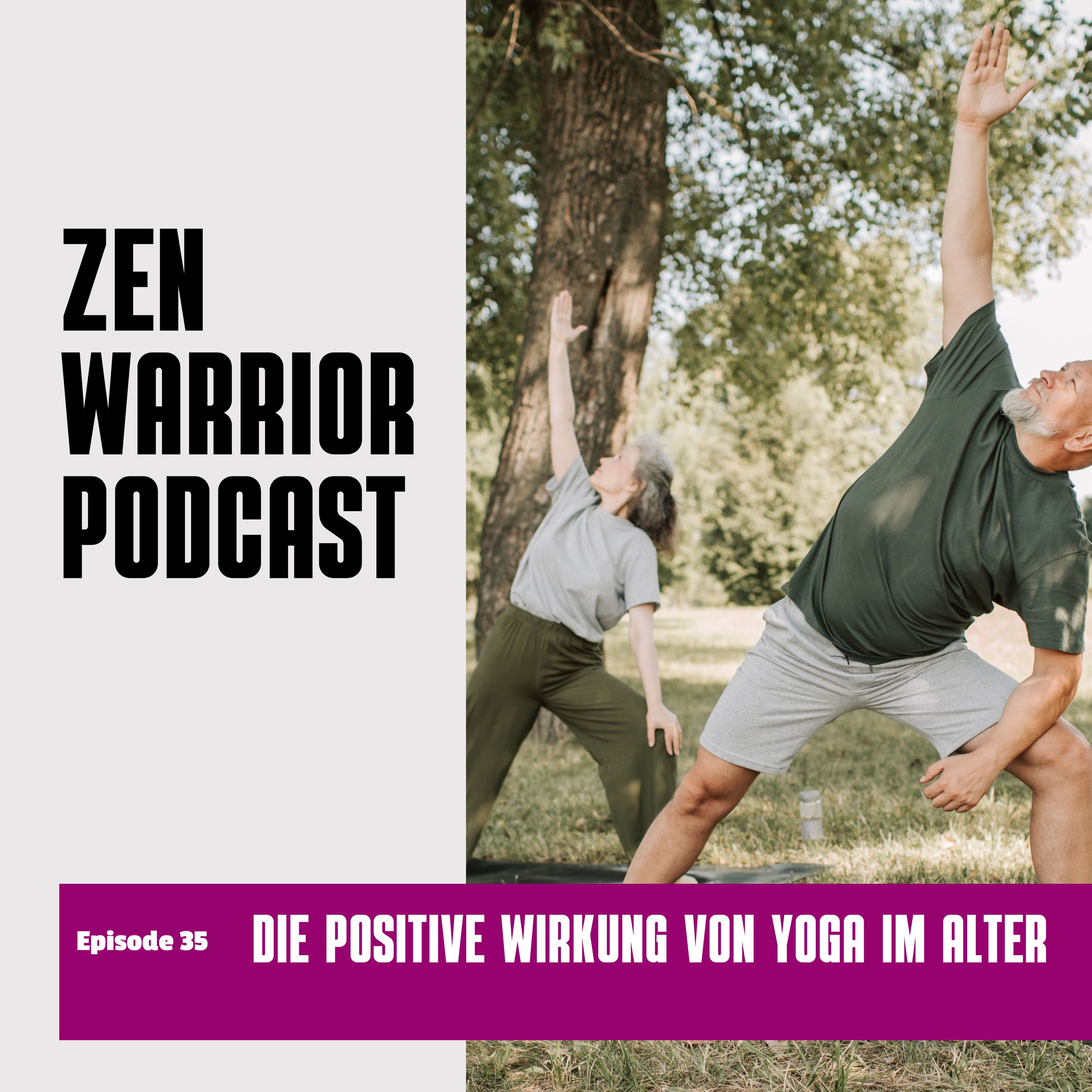 The Zen Warrior Podcast
