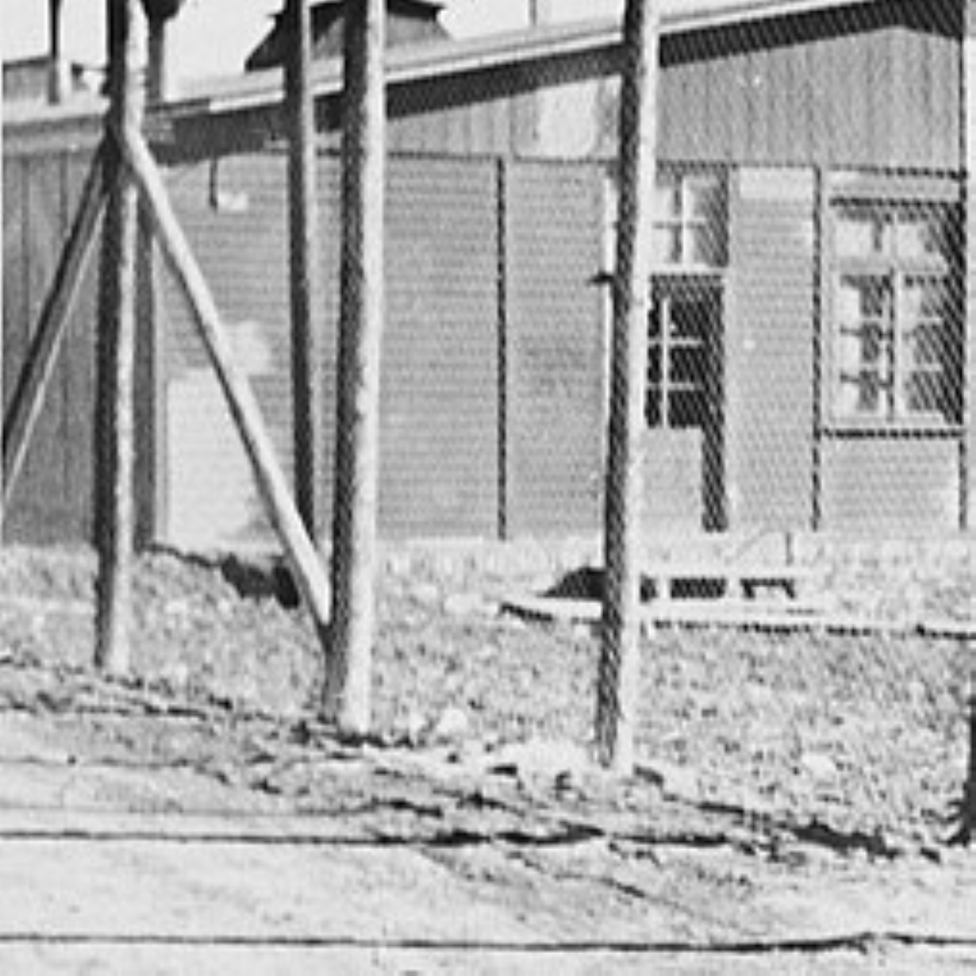 Y-133: Peter Hassel, Schilderung des "Läuse-Appell" im KZ Hinzert (1942)