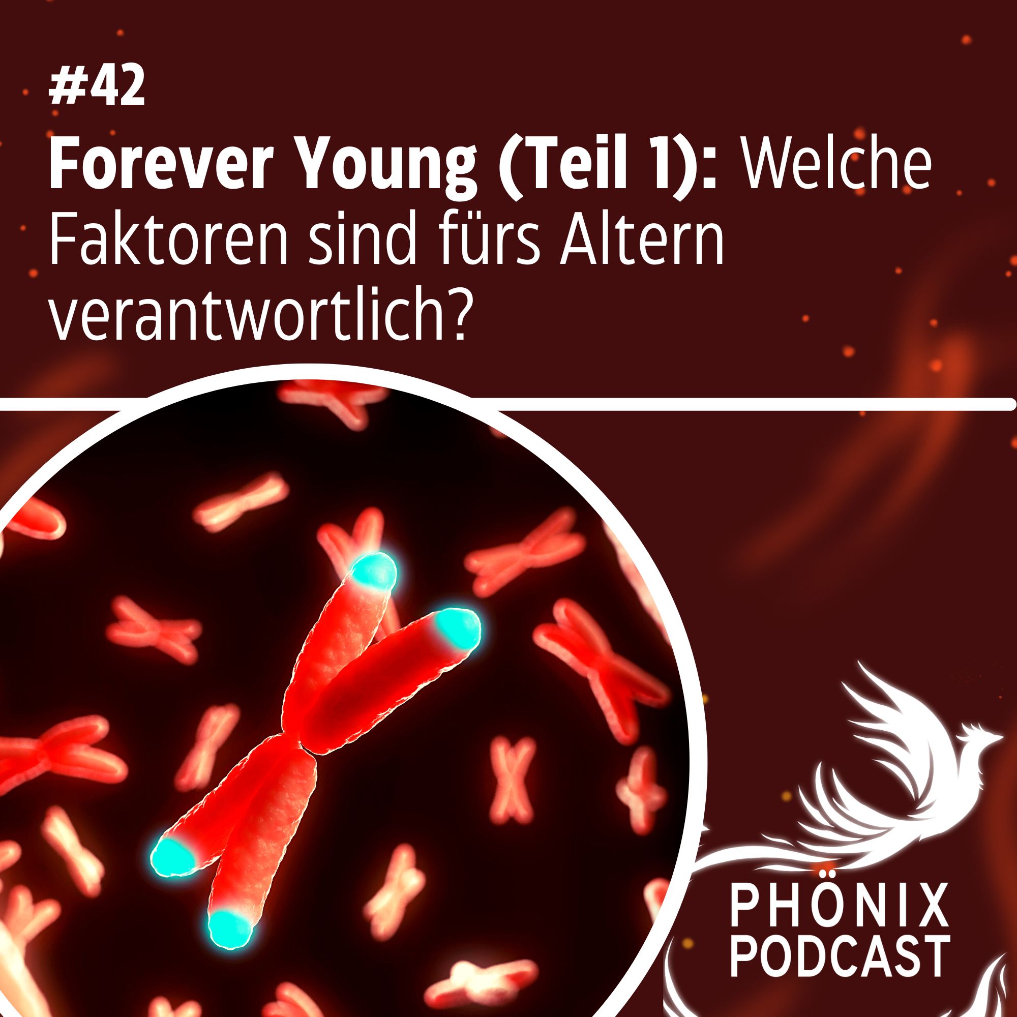 FOREVER YOUNG (Teil 1): Welche Faktoren sind fürs Altern verantwortlich? #42 - podcast episode cover