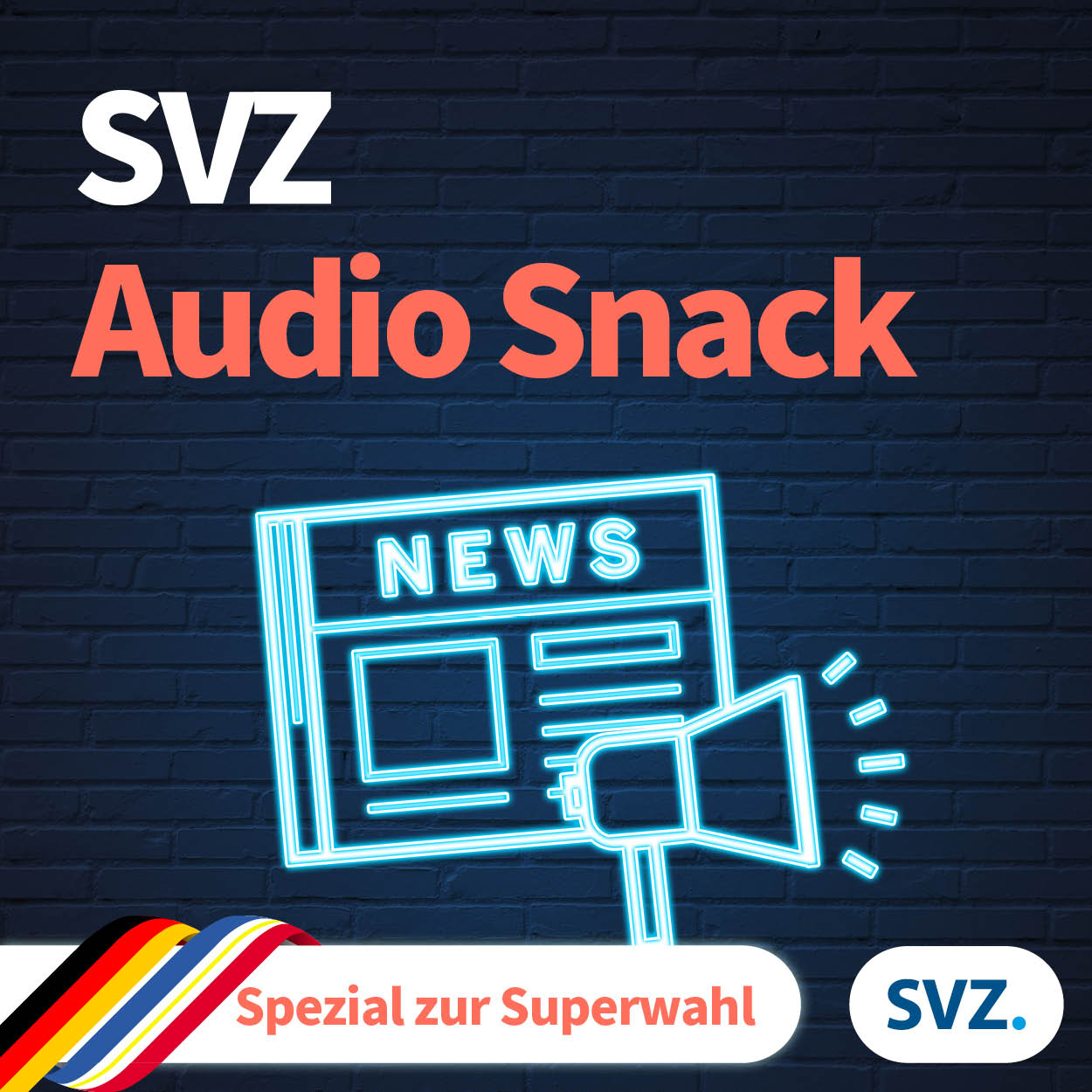 SVZ Audio Snack