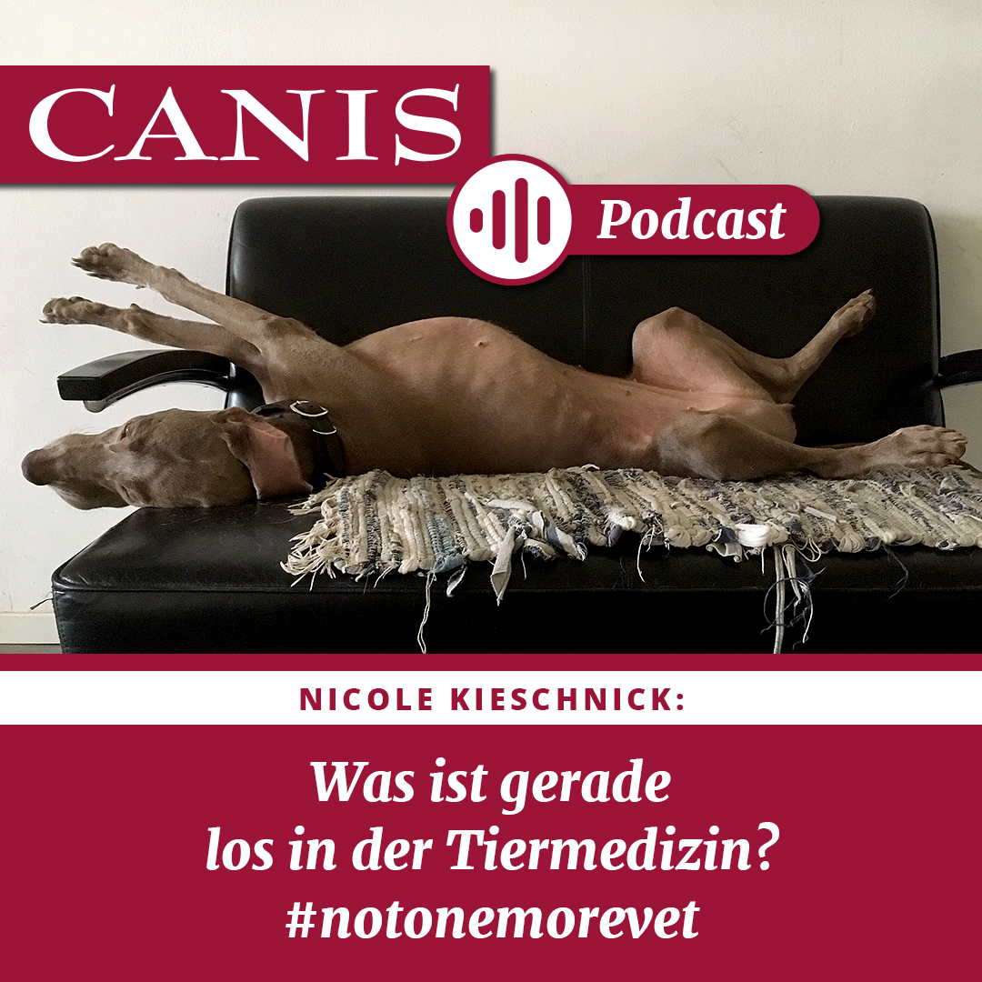 Der CANIS-Podcast – Hundeexpert:innen ausgefragt
