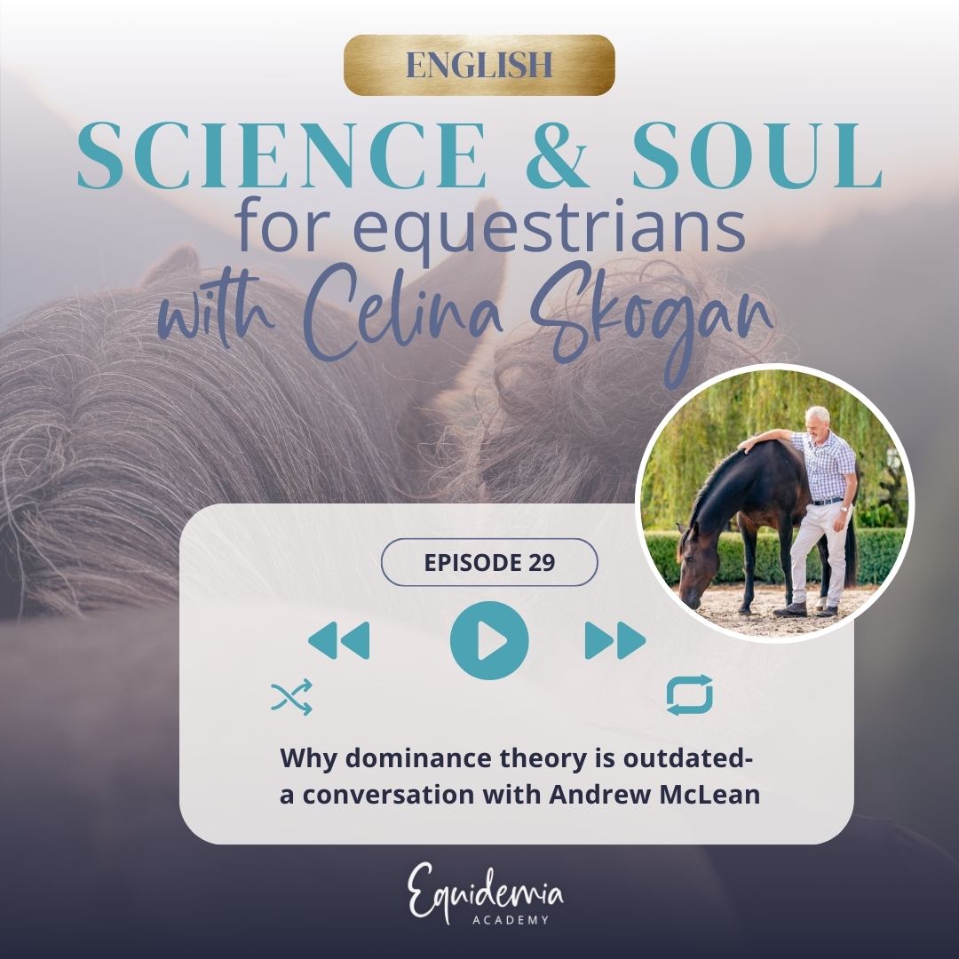 Horsefriends international