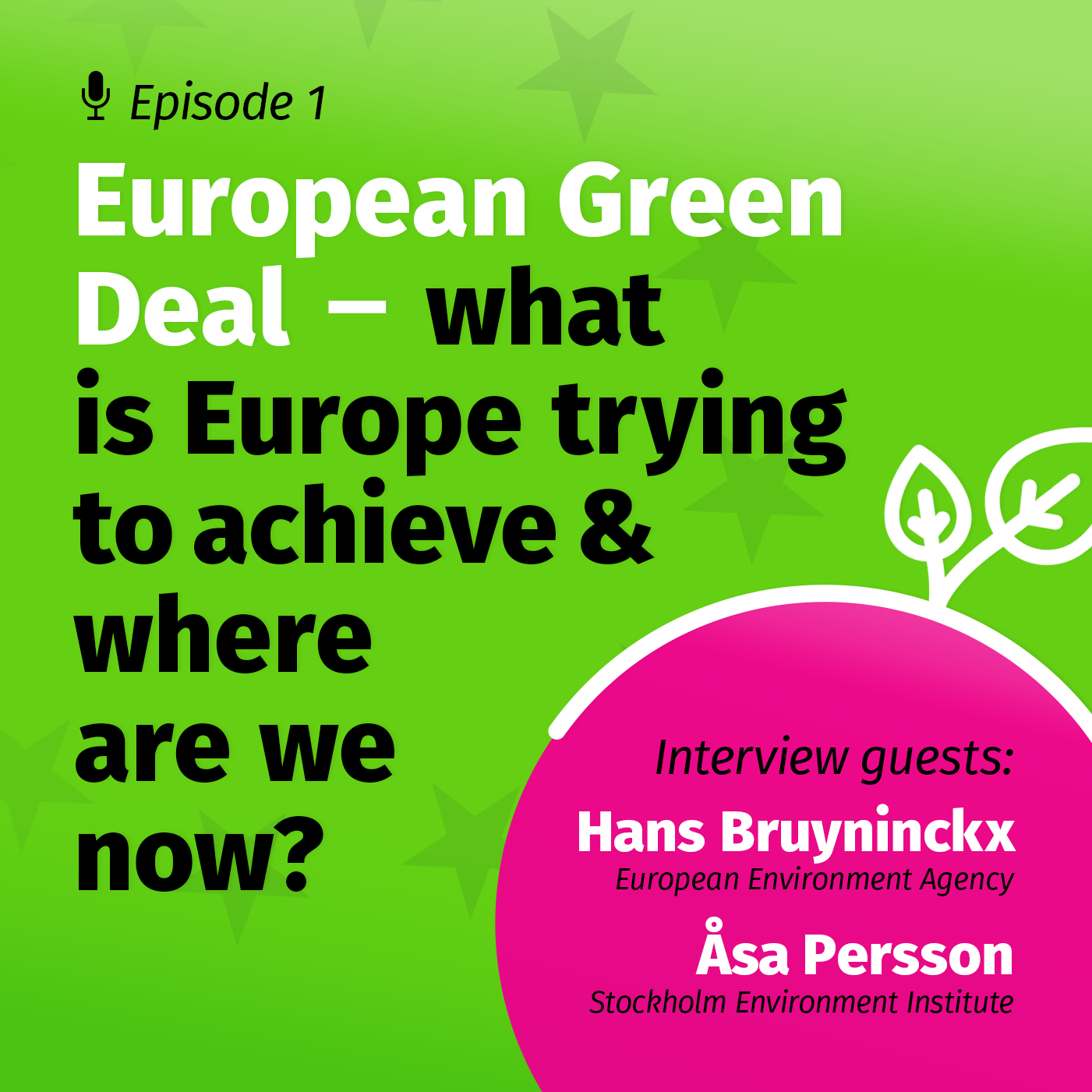 Green Deal - Big Deal?