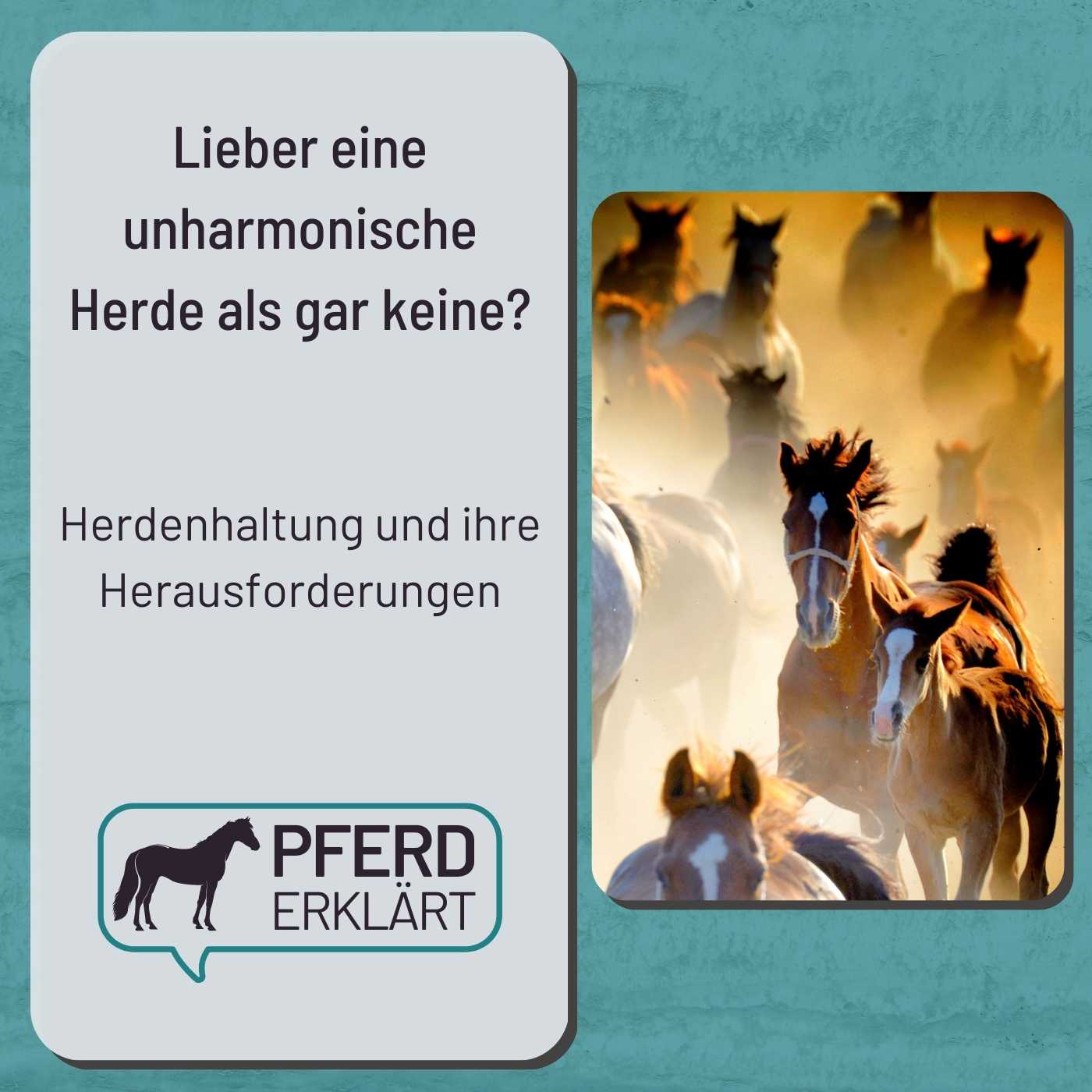 Lieber eine unharmonische Herde als gar keine Herde?