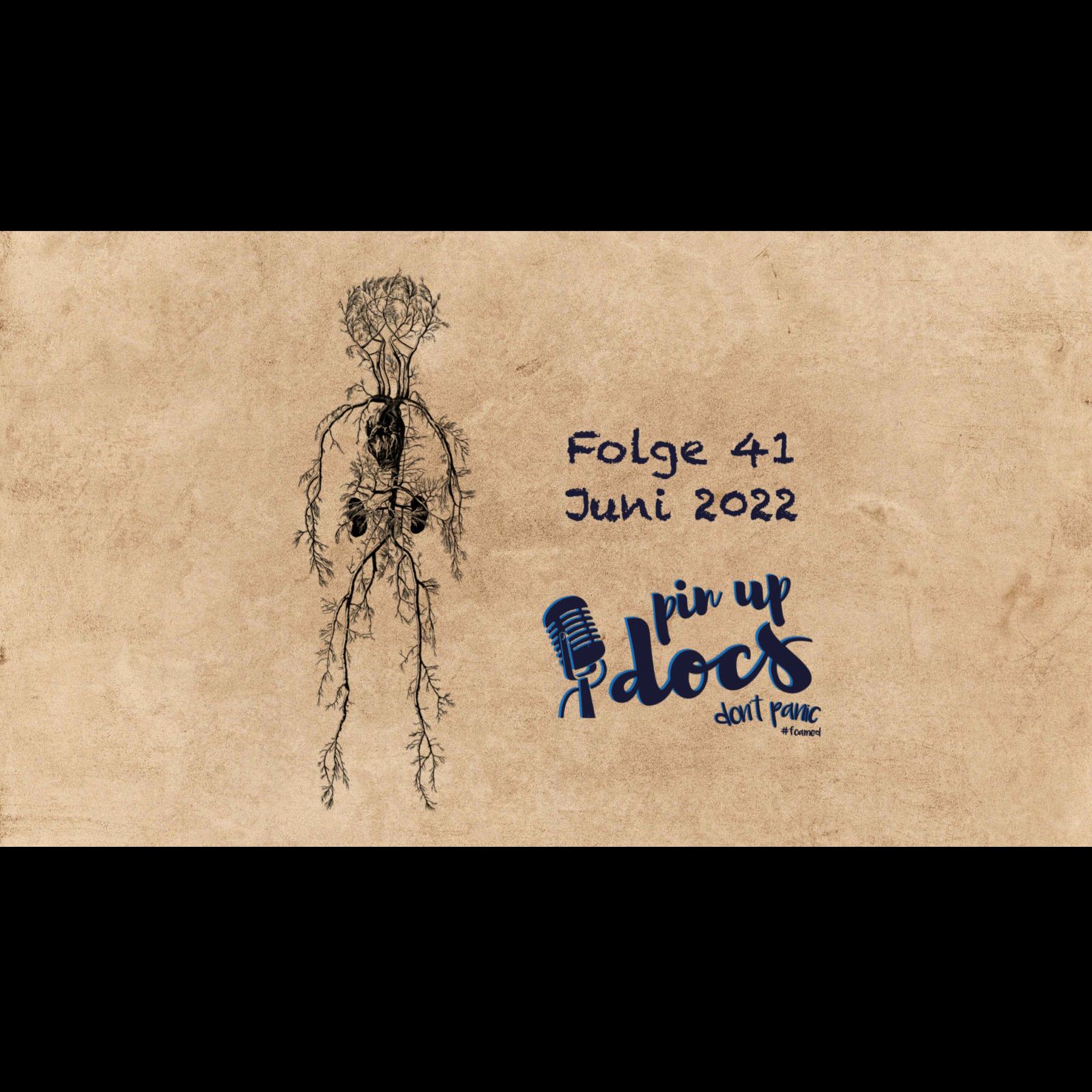 Hauptfolge 41 - Juni 2022