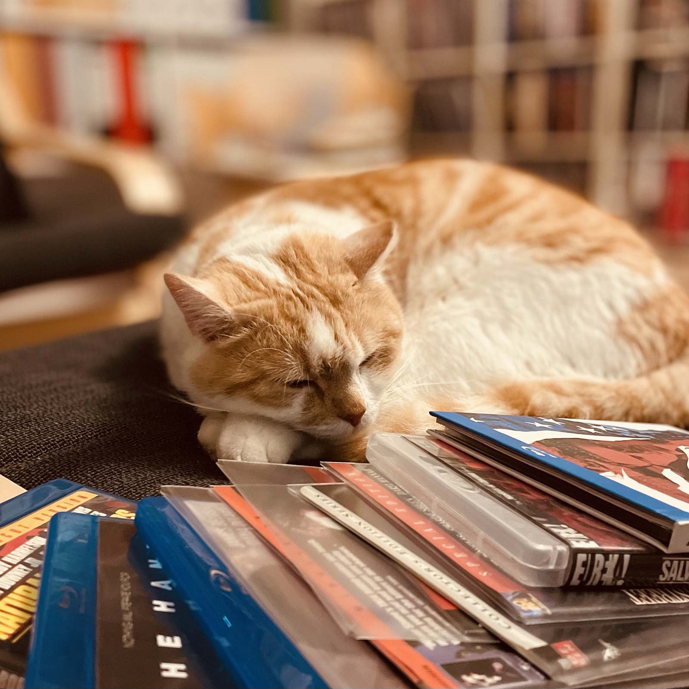 Spielfilmen - Der filmographische Podcast