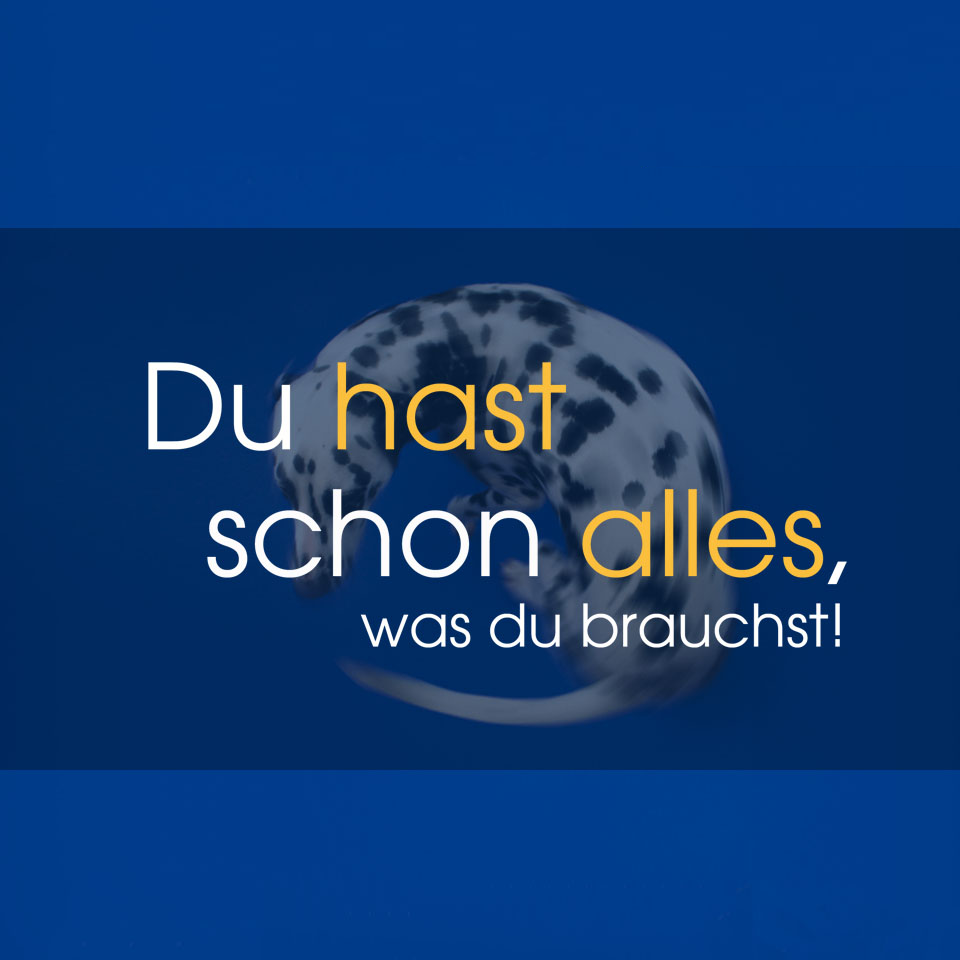 Du hast schon alles, was du brauchst!: Folge 01