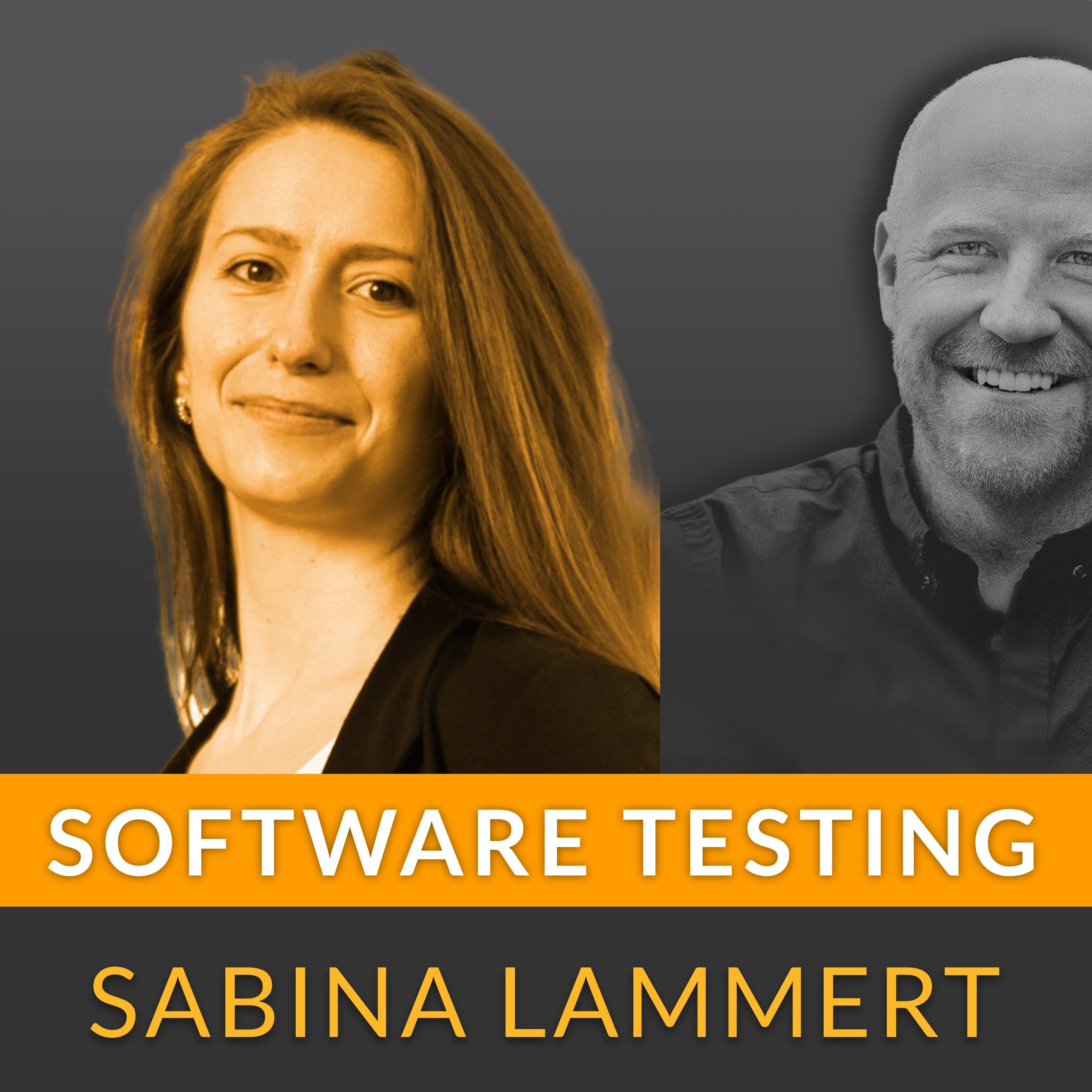 Software Testing - Qualität, Testautomatisierung & Agilität