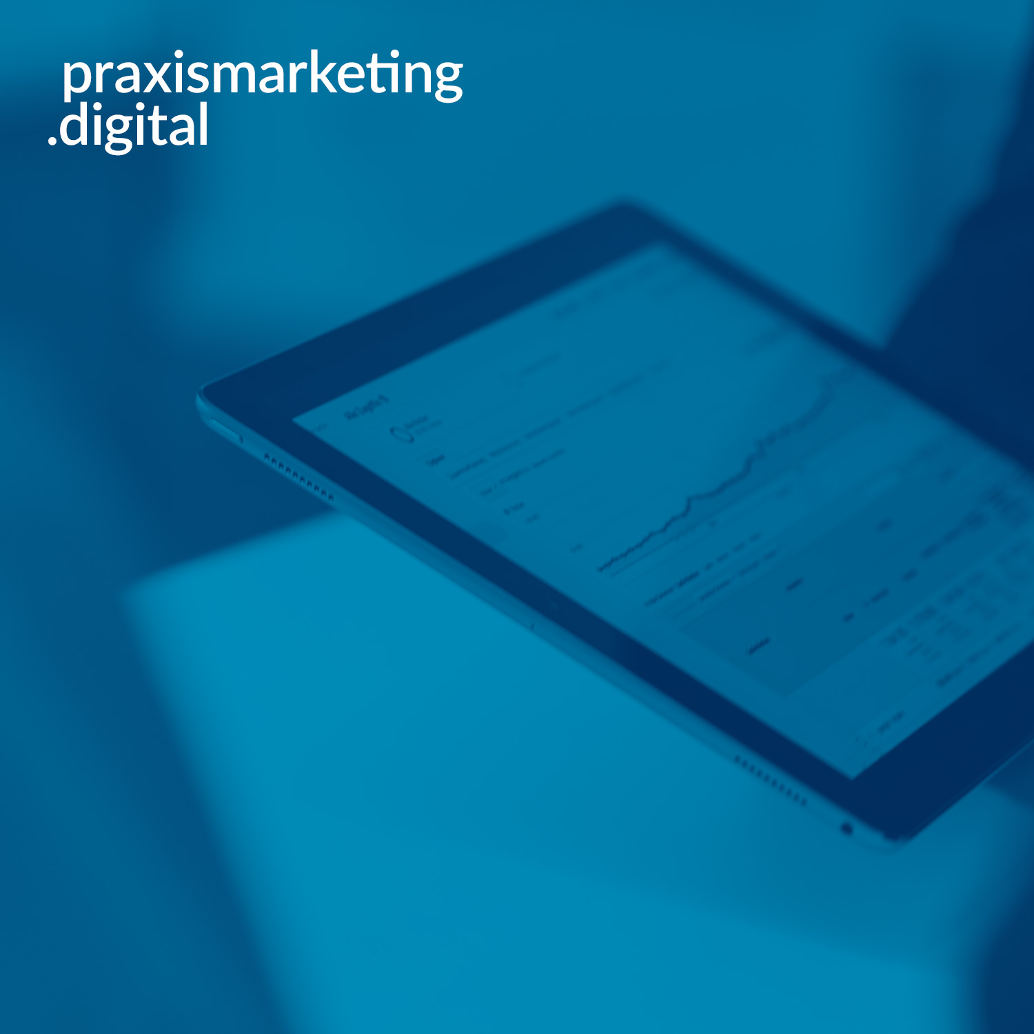 praxismarketing.digital